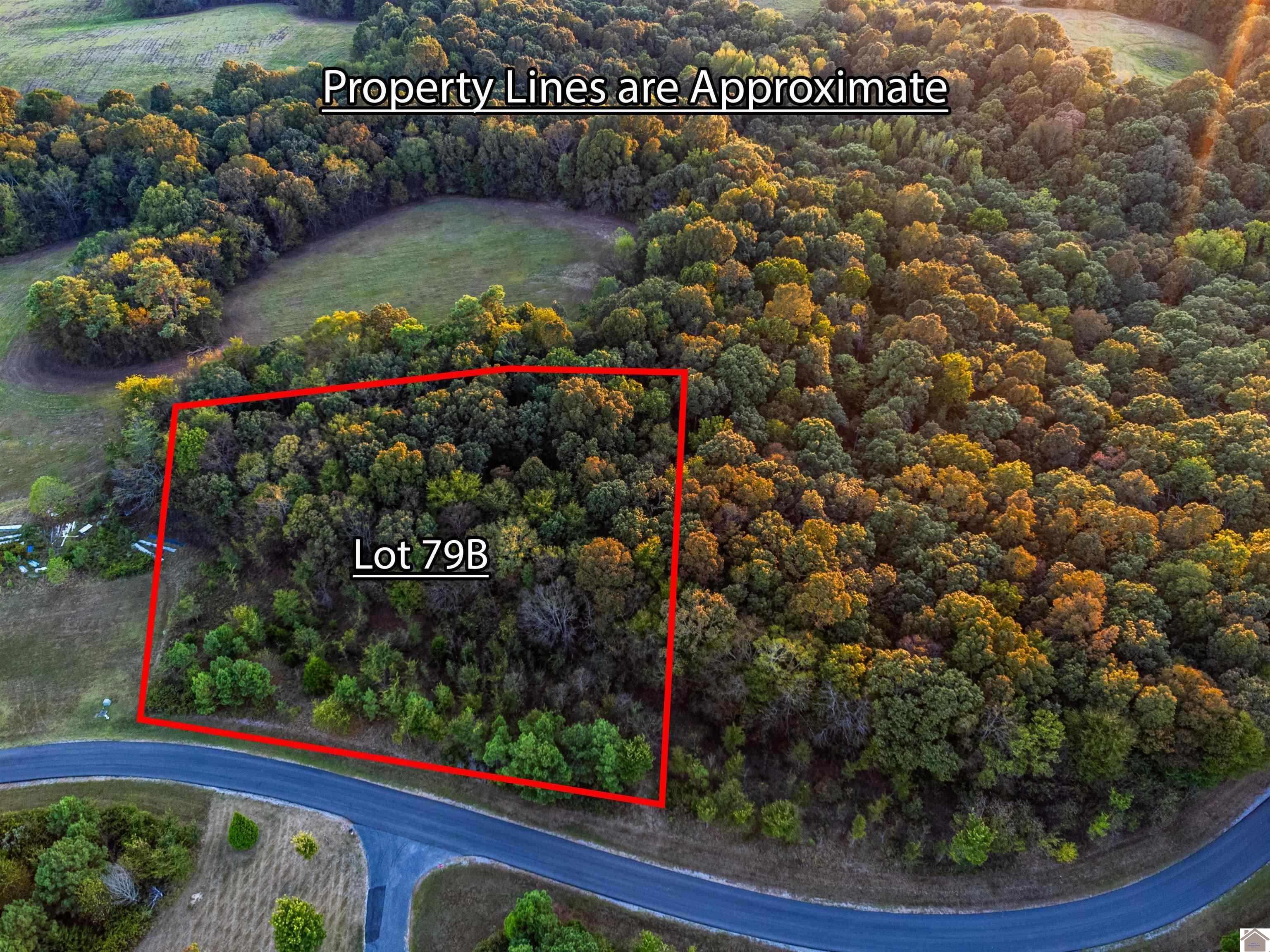 Lot 79b waterfowl, Murray, KY 42071 Listing Photo  6
