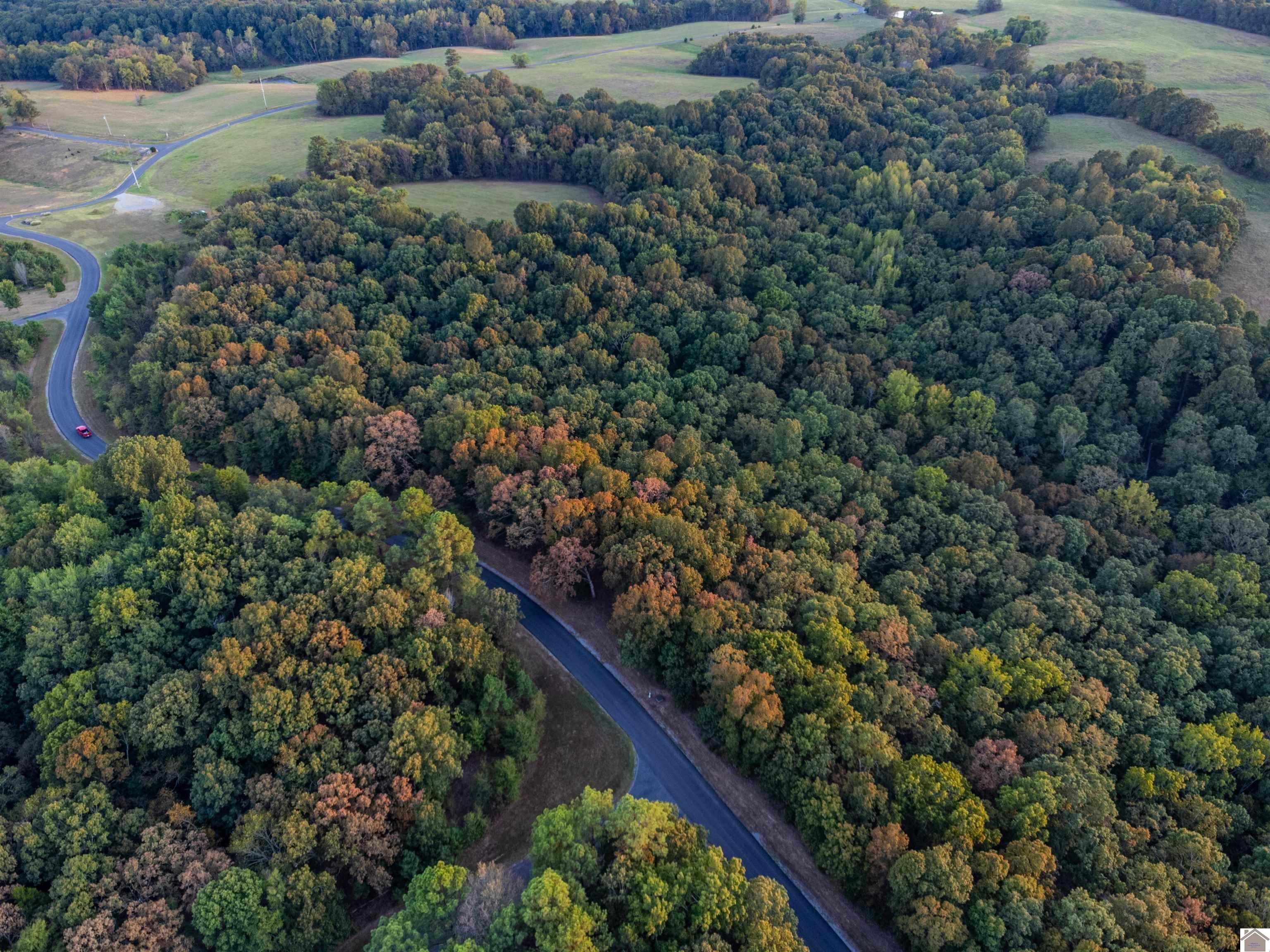 Lot 79b waterfowl, Murray, KY 42071 Listing Photo  8
