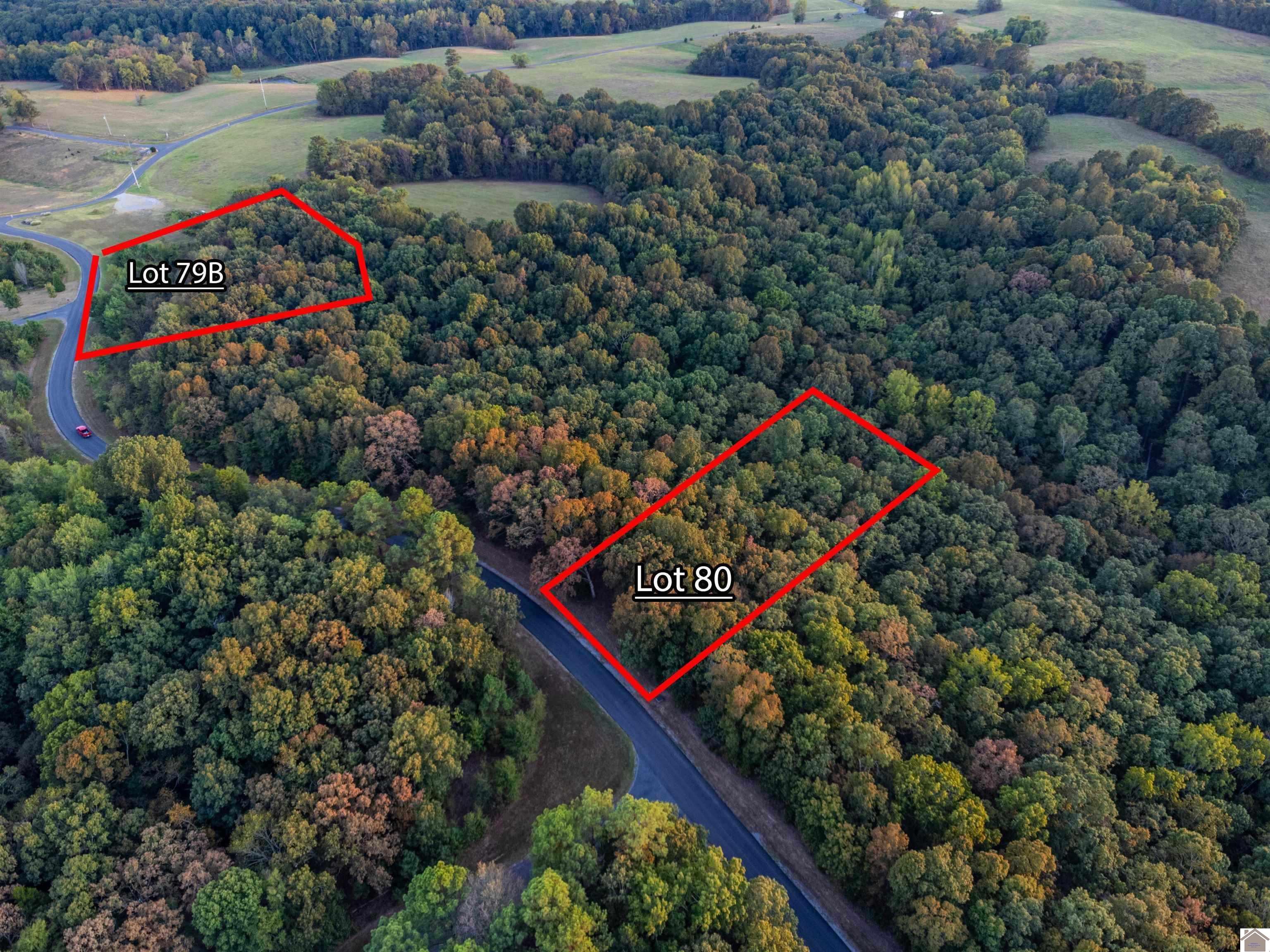 lot 80 Waterfowl, Murray, KY 42071 Listing Photo  5