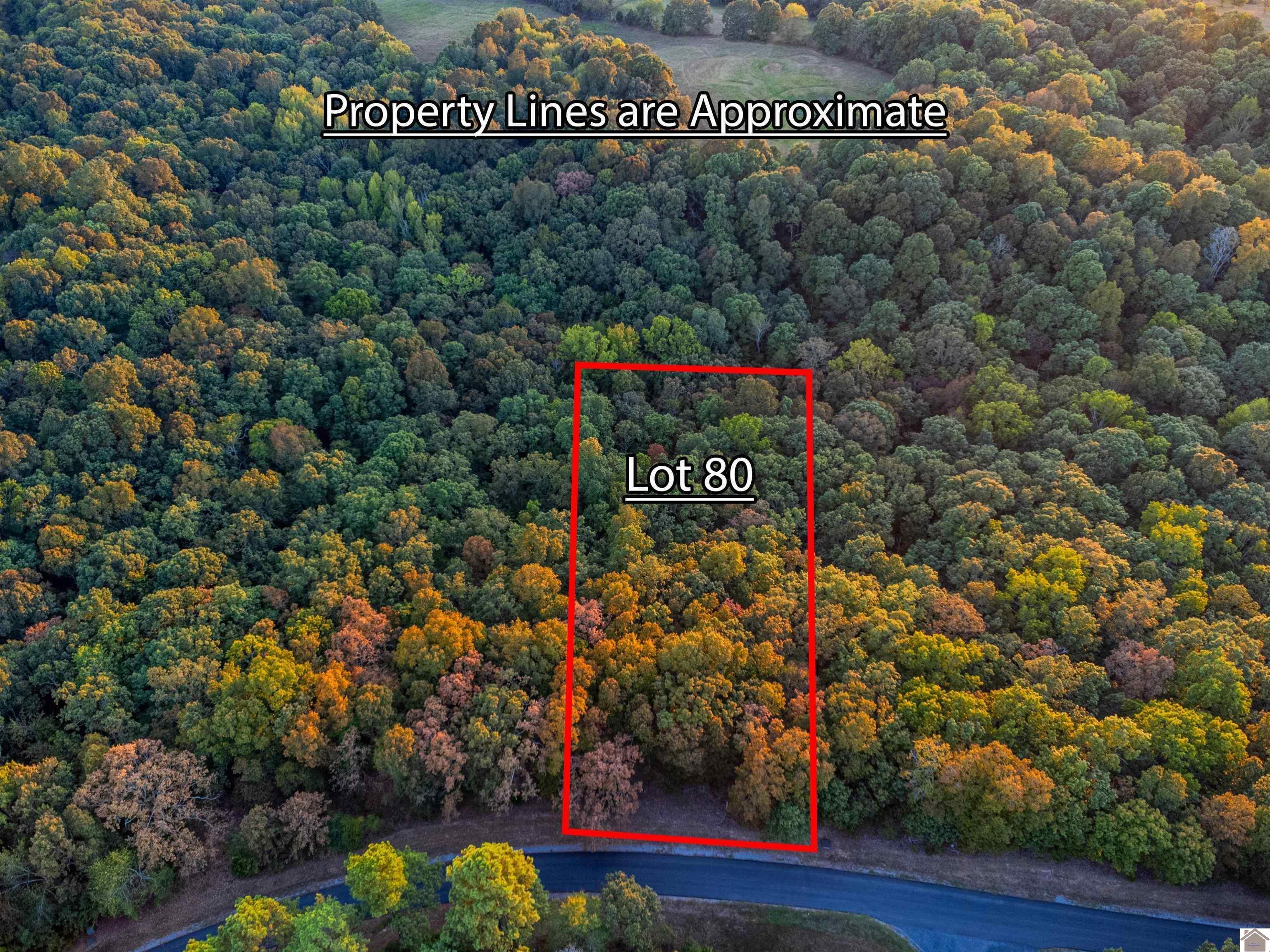 lot 80 Waterfowl, Murray, KY 42071 Listing Photo  6
