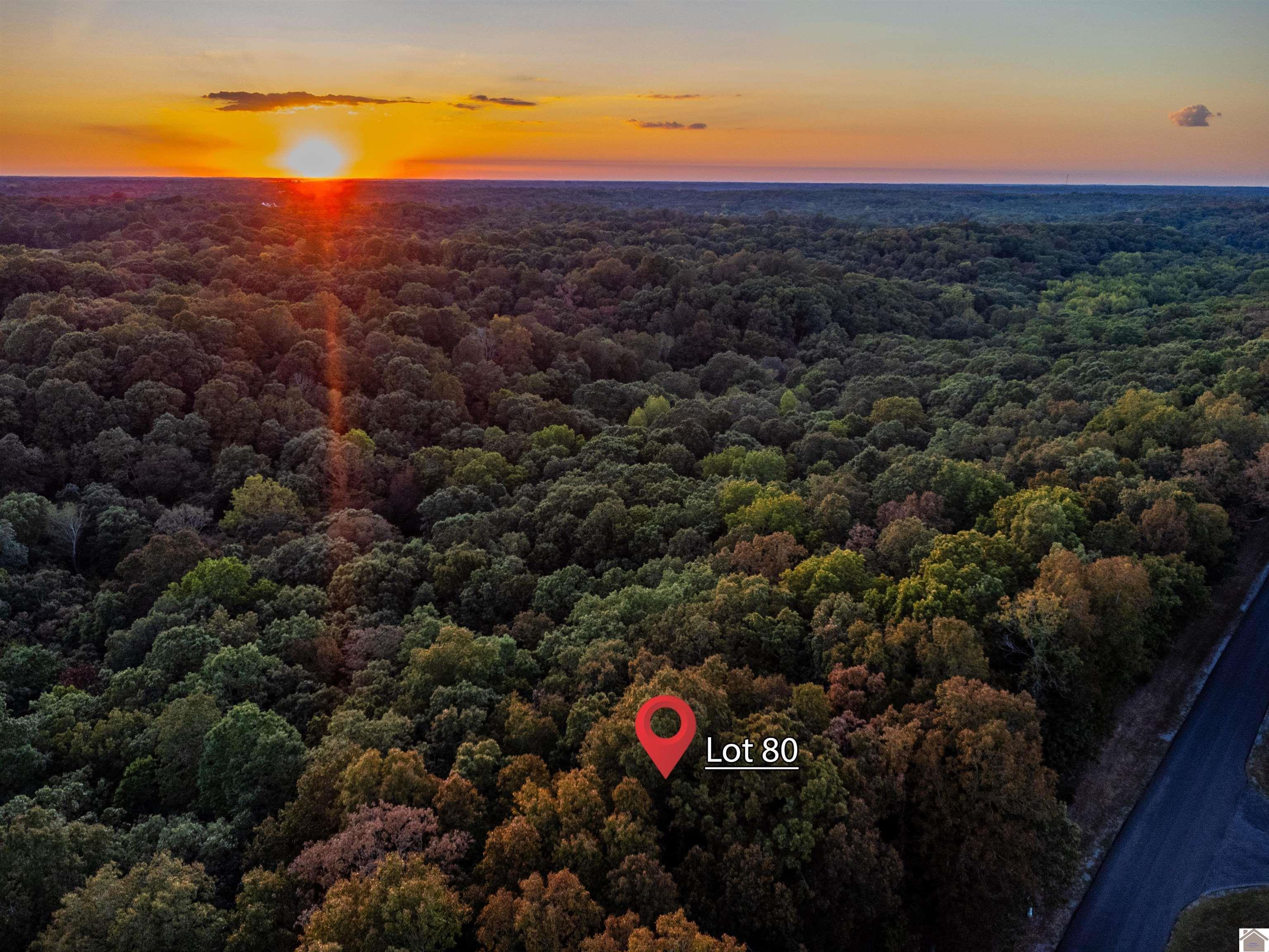 lot 80 Waterfowl, Murray, KY 42071 Listing Photo  7