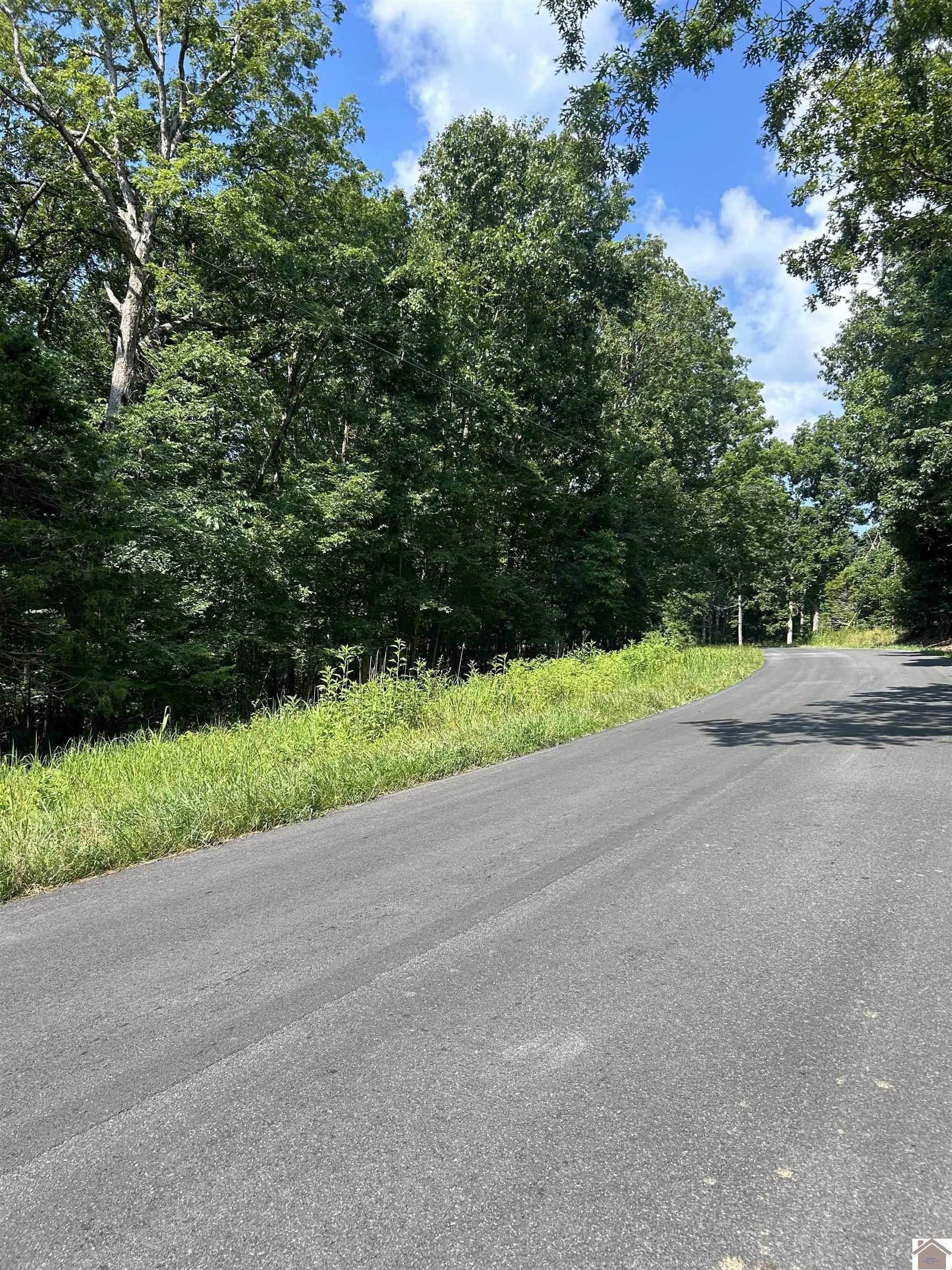 Bluegrass Est 6 Canton Blue Springs Road, Cadiz, KY 42211 Listing Photo  1