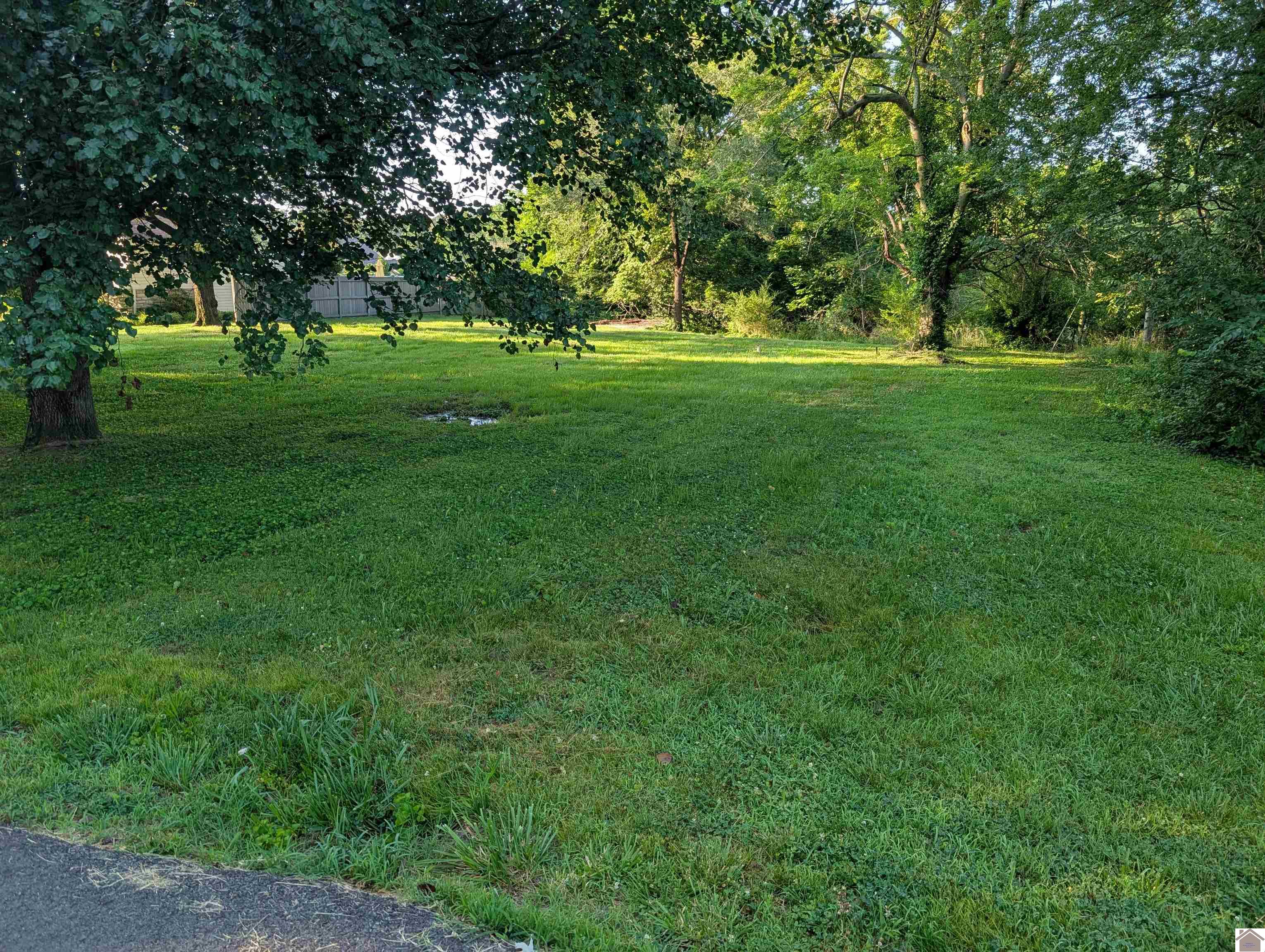 321 Illinois, Paducah, KY 42003 Listing Photo  3