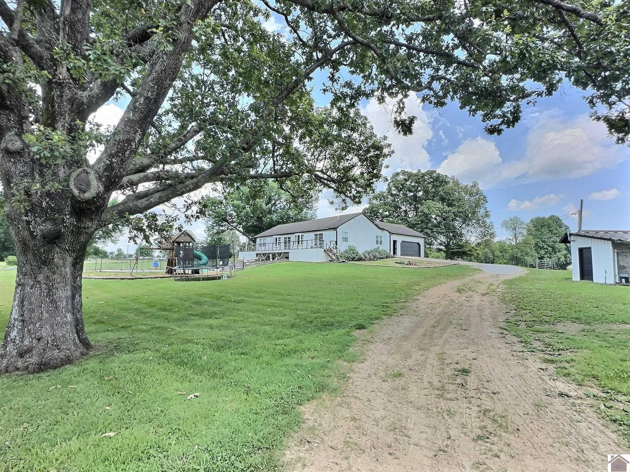 3147 St Rt 1748 W, Mayfield, KY 42066 Listing Photo  39