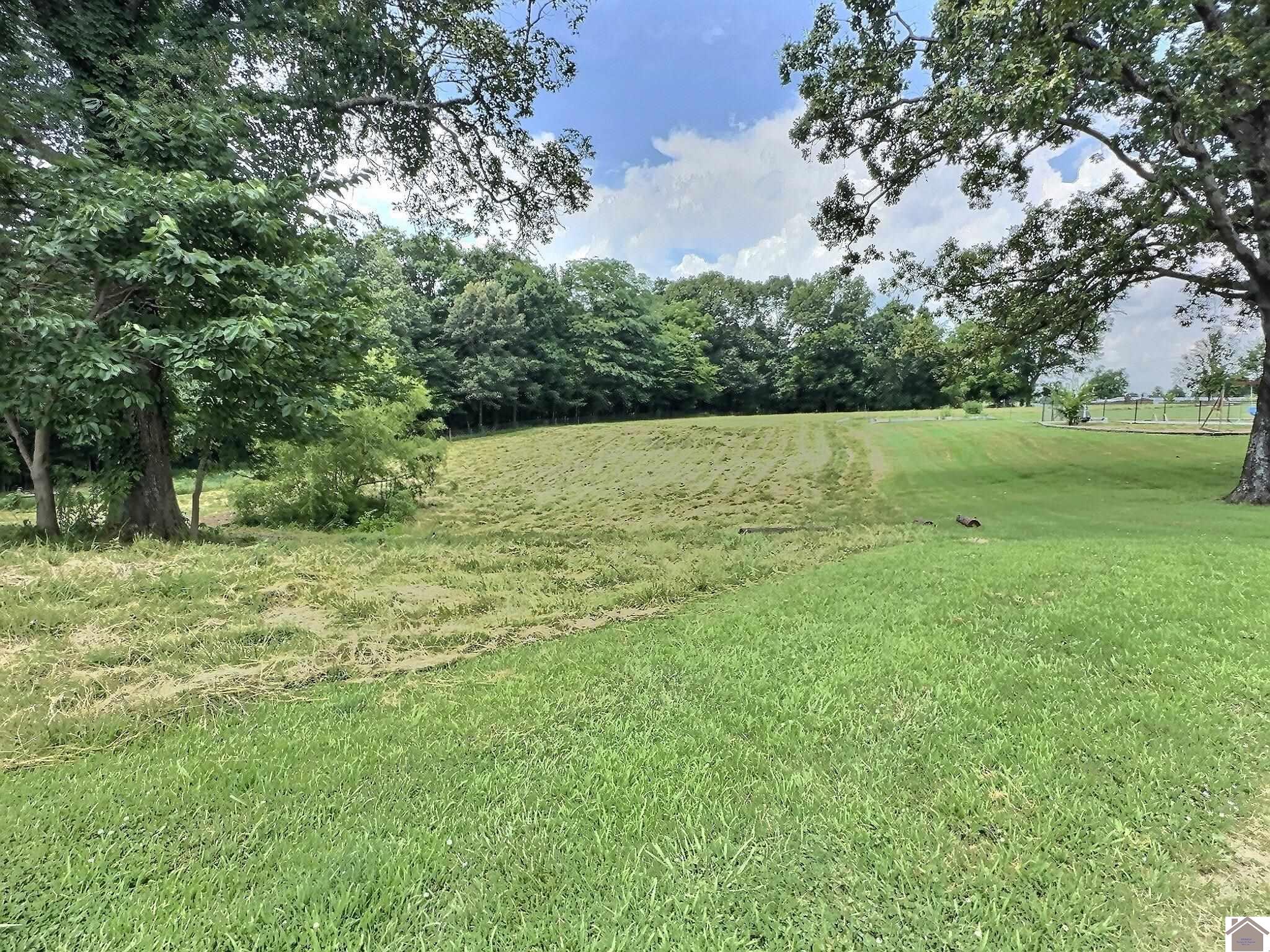 3147 St Rt 1748 W, Mayfield, KY 42066 Listing Photo  40