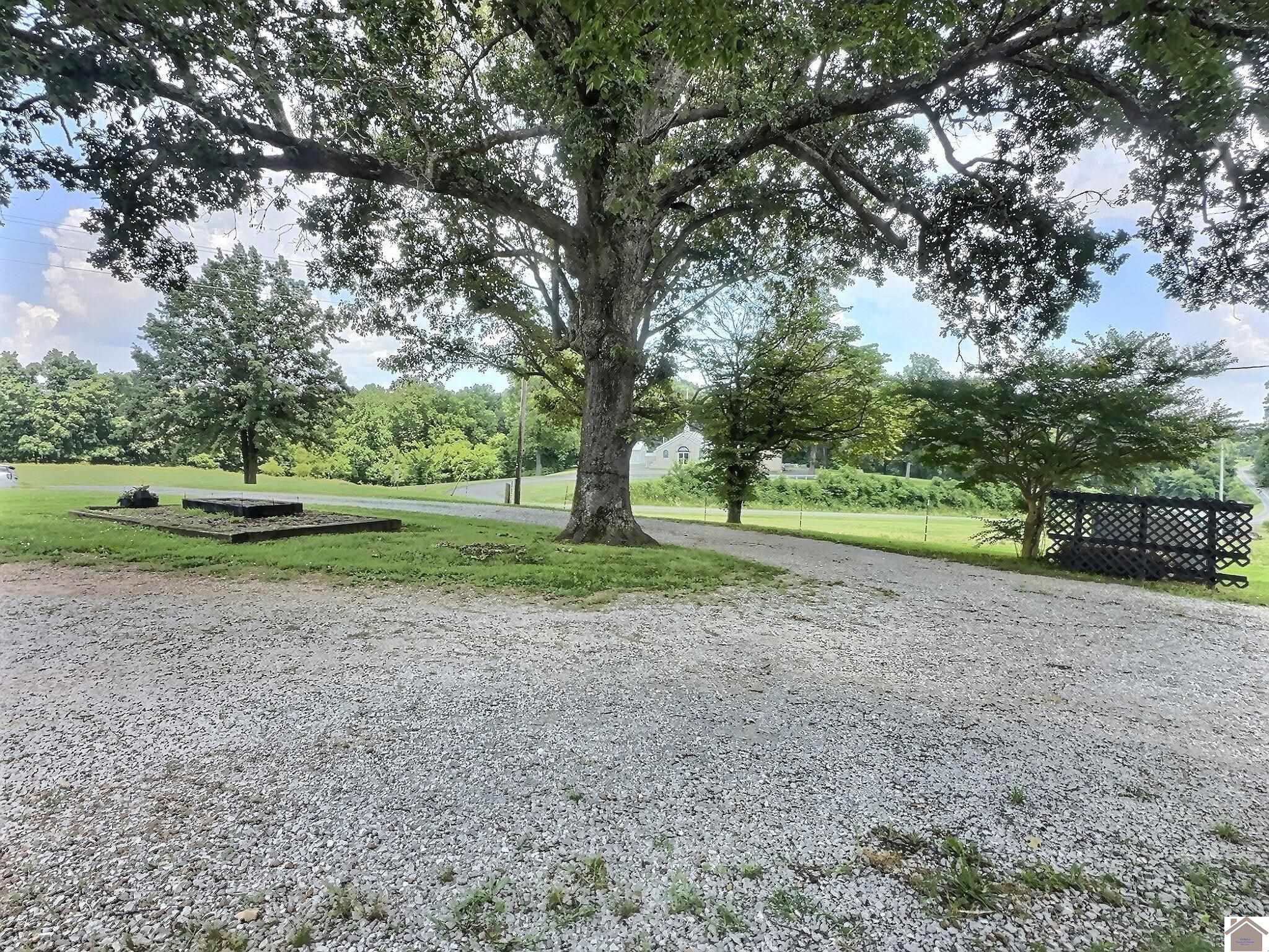 3147 St Rt 1748 W, Mayfield, KY 42066 Listing Photo  41