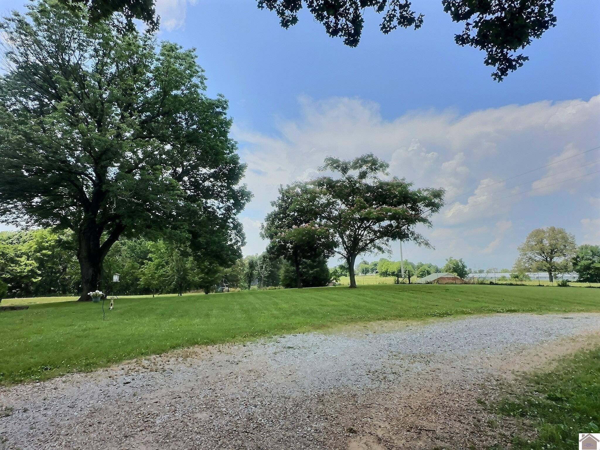 3147 St Rt 1748 W, Mayfield, KY 42066 Listing Photo  42