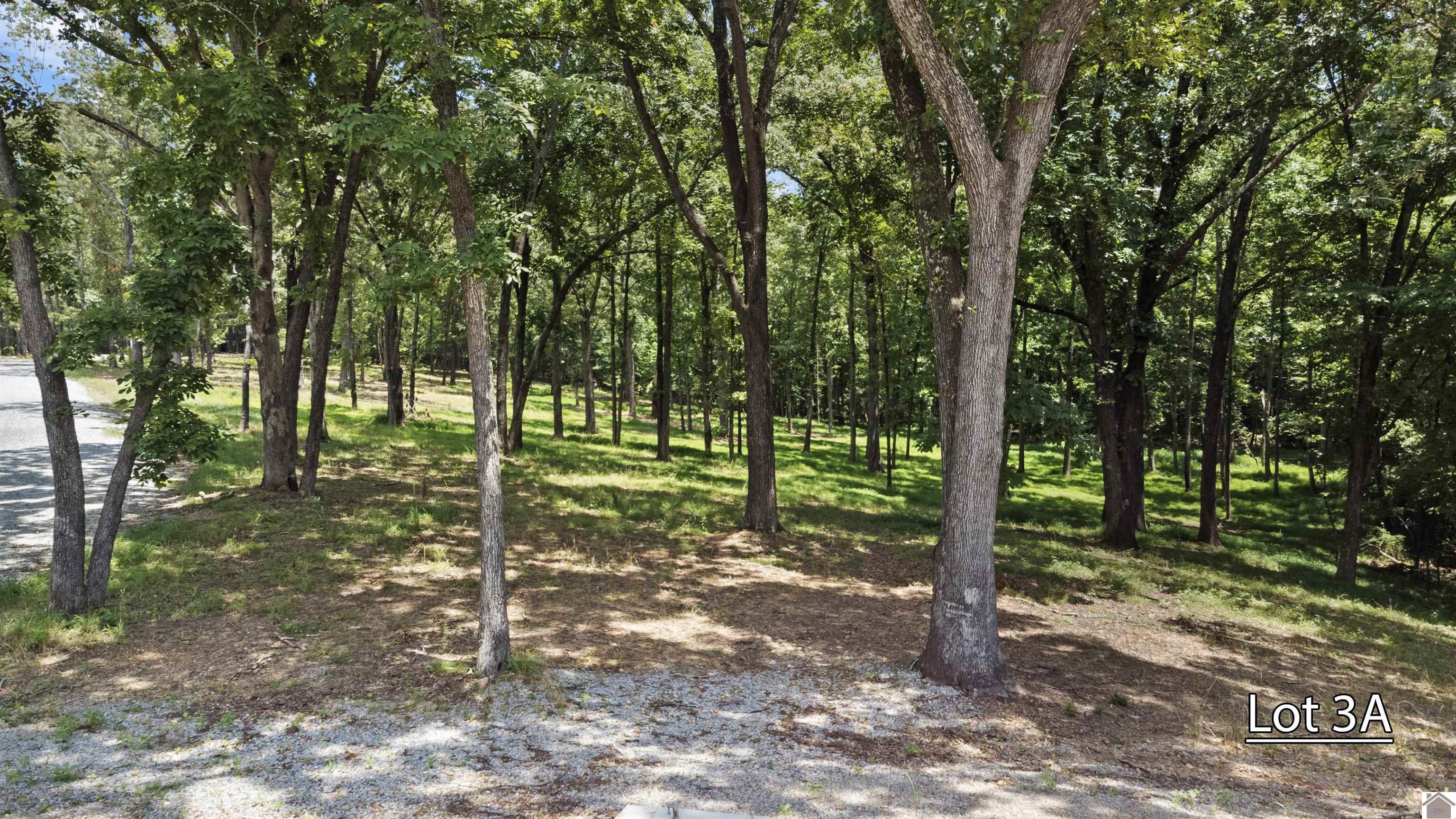 Lot 3a Serenity Village, Benton, KY 42025 Listing Photo  18