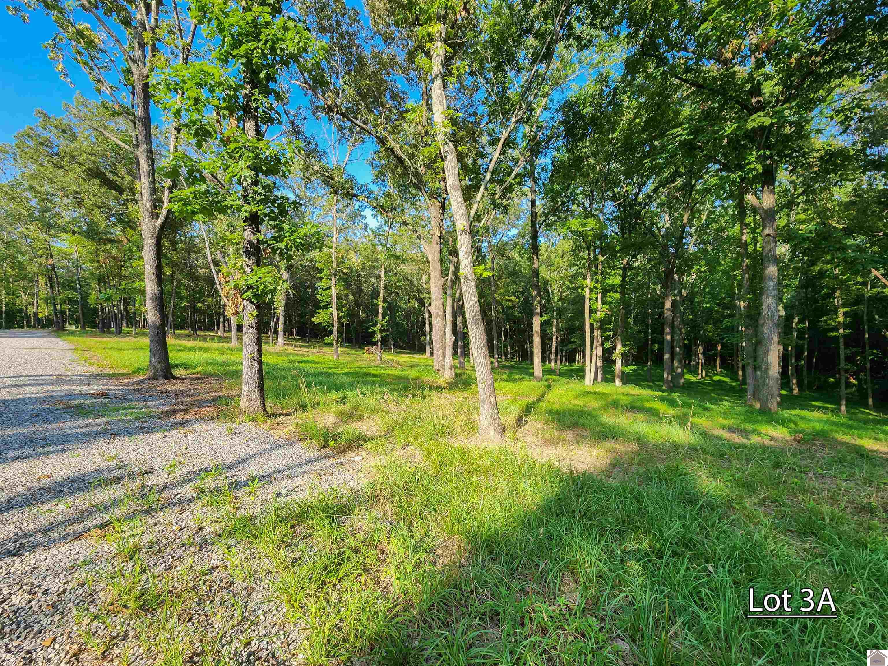Lot 3a Serenity Village, Benton, KY 42025 Listing Photo  3