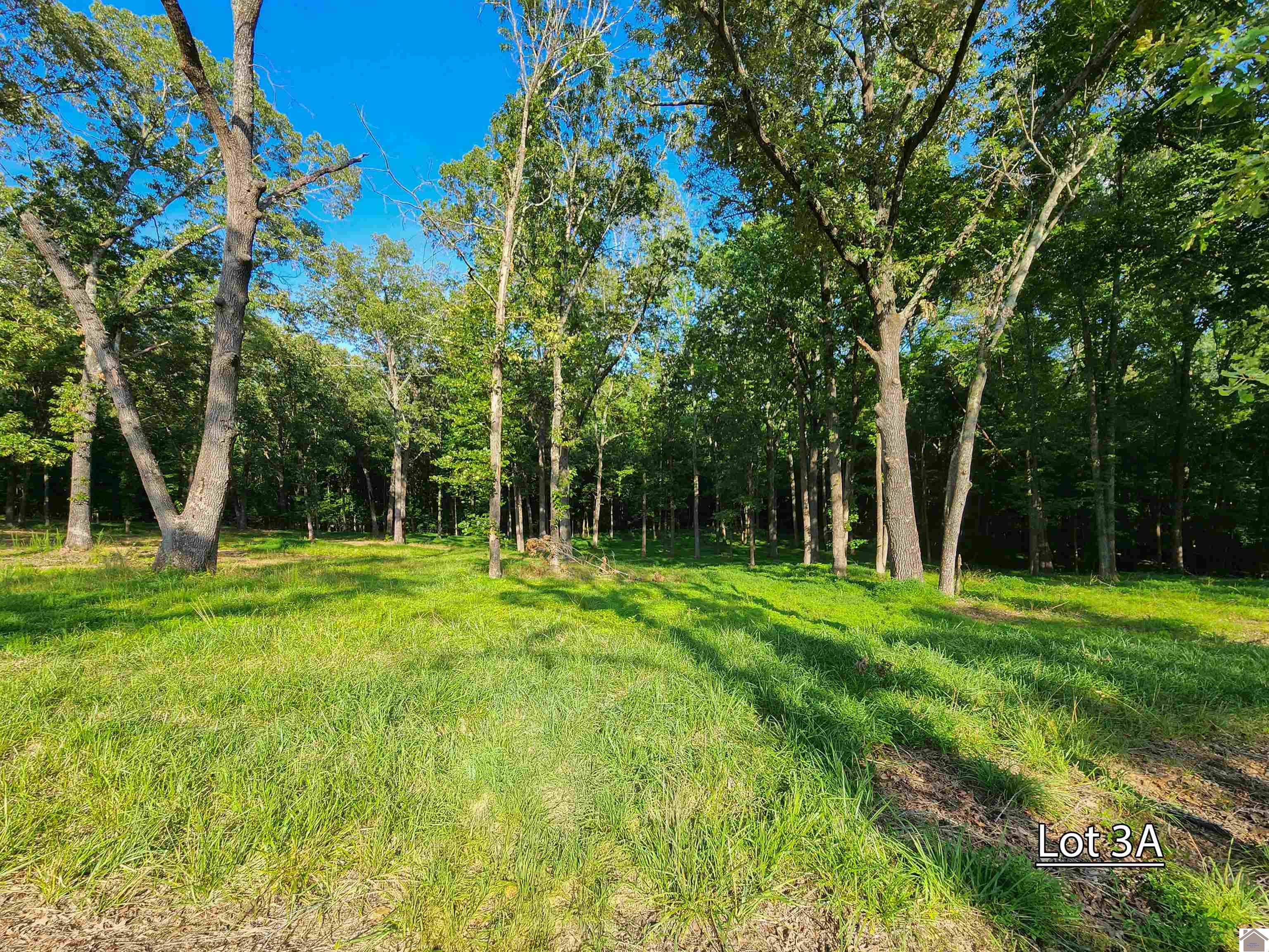 Lot 3a Serenity Village, Benton, KY 42025 Listing Photo  4