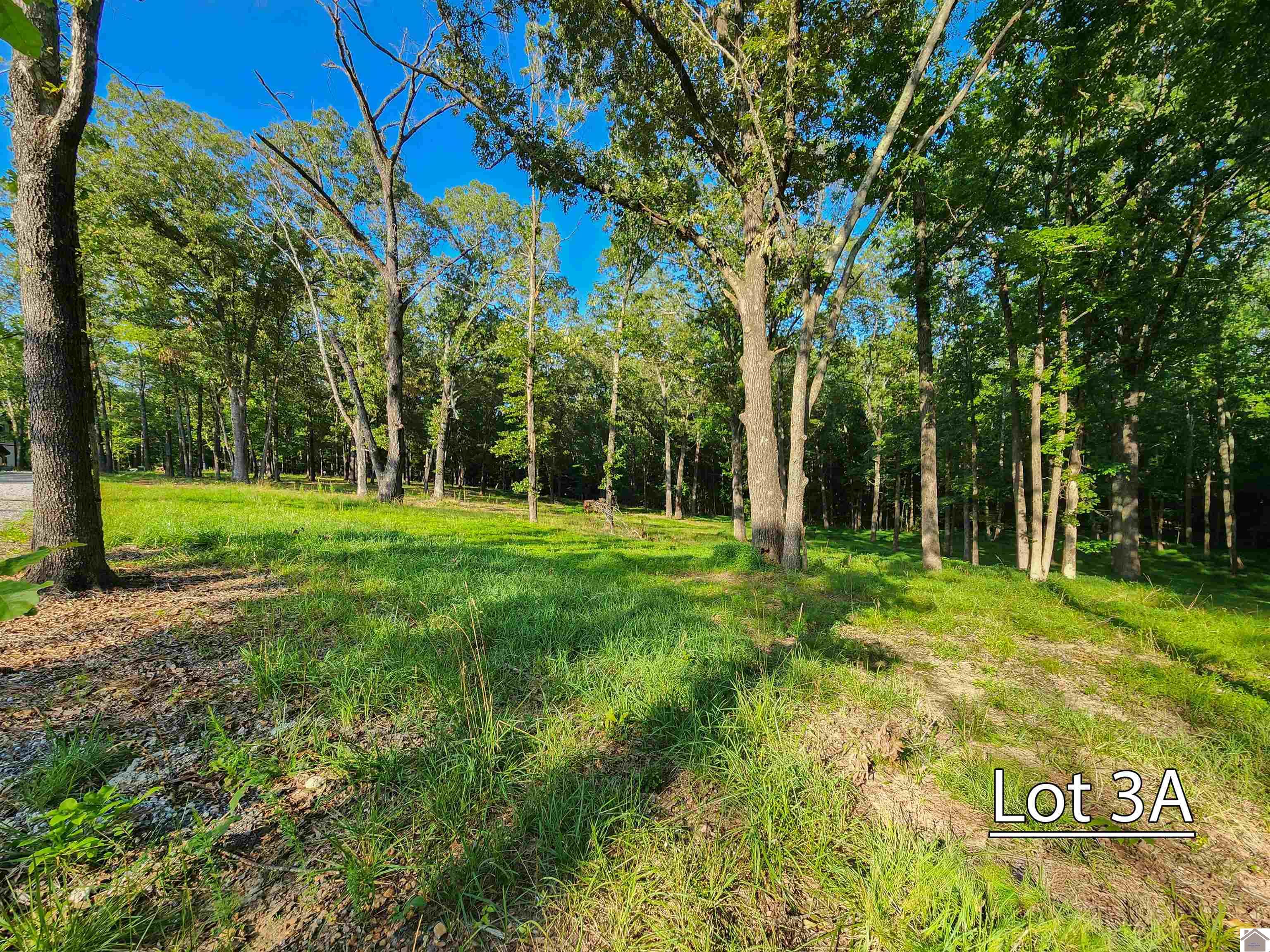 Lot 3a Serenity Village, Benton, KY 42025 Listing Photo  5