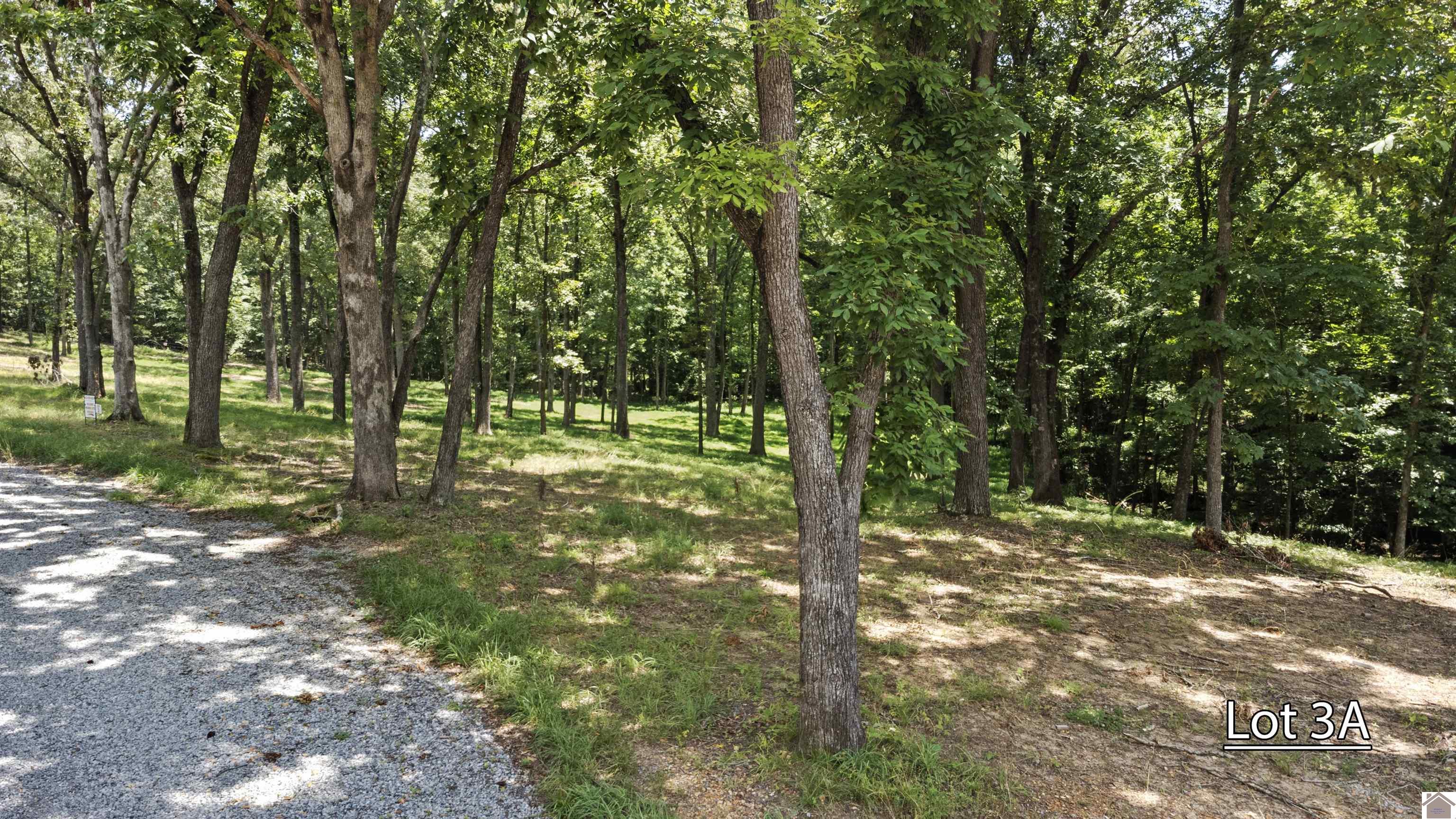 Lot 3a Serenity Village, Benton, KY 42025 Listing Photo  6