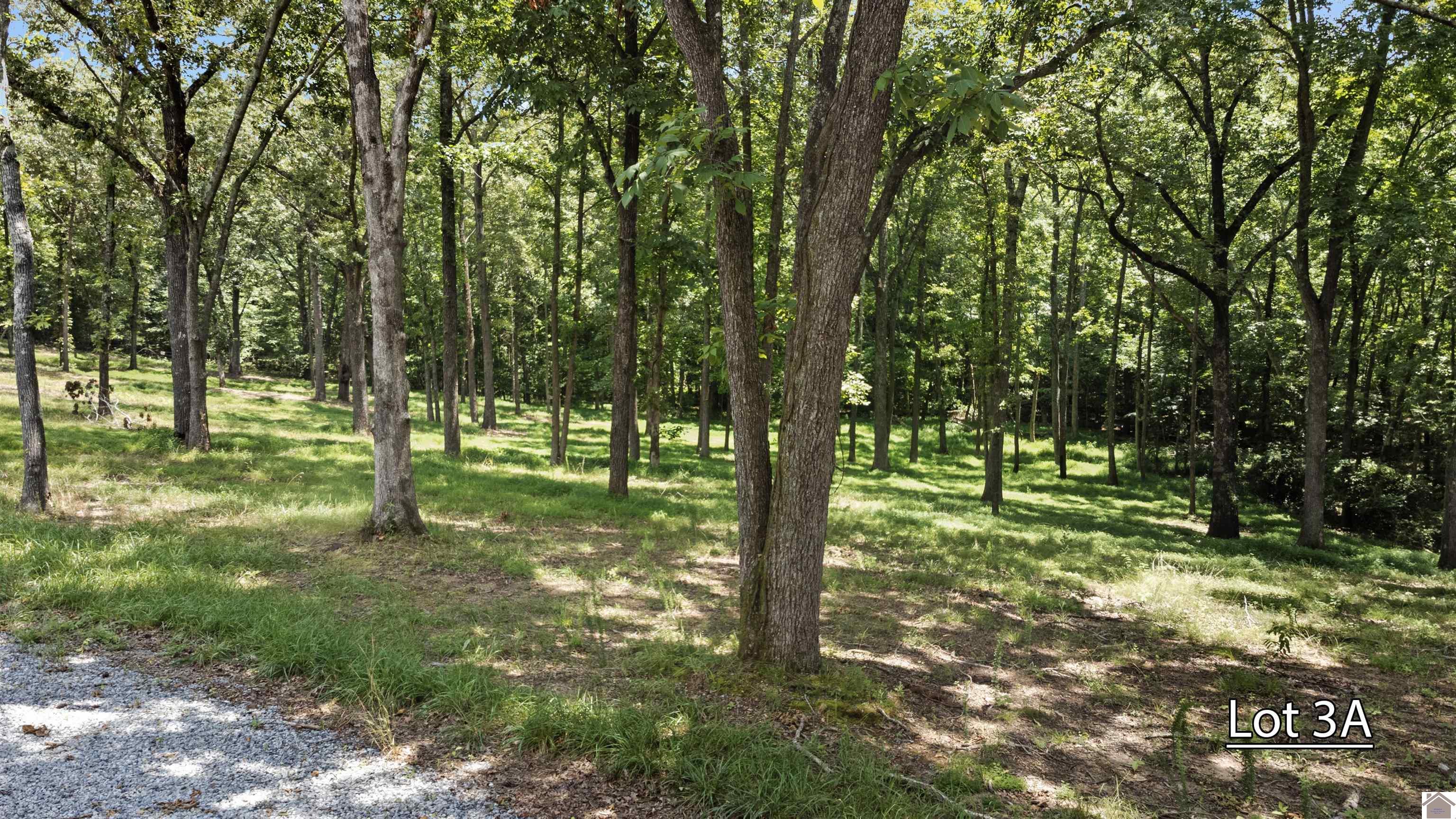 Lot 3a Serenity Village, Benton, KY 42025 Listing Photo  7