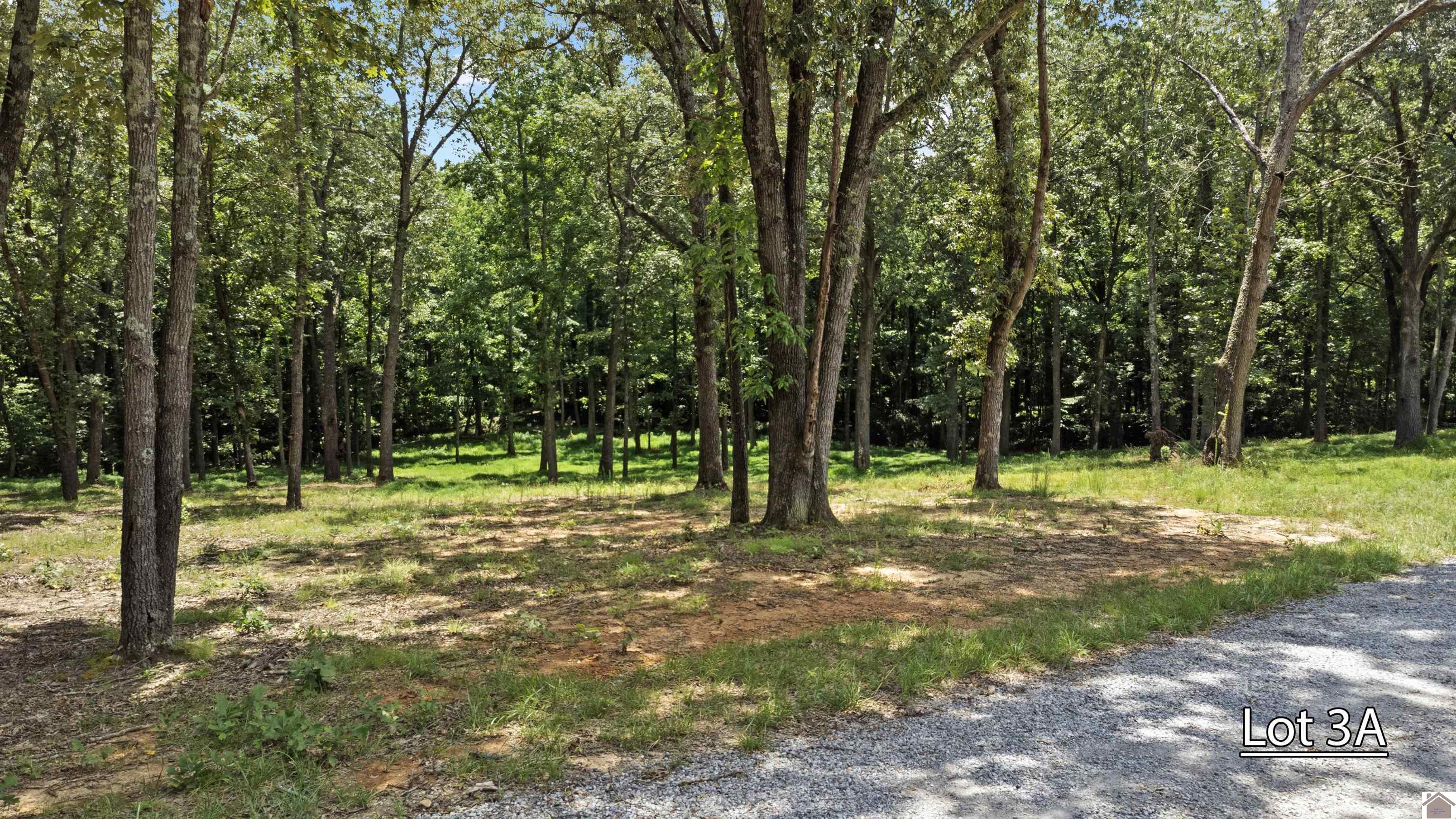 Lot 3a Serenity Village, Benton, KY 42025 Listing Photo  8