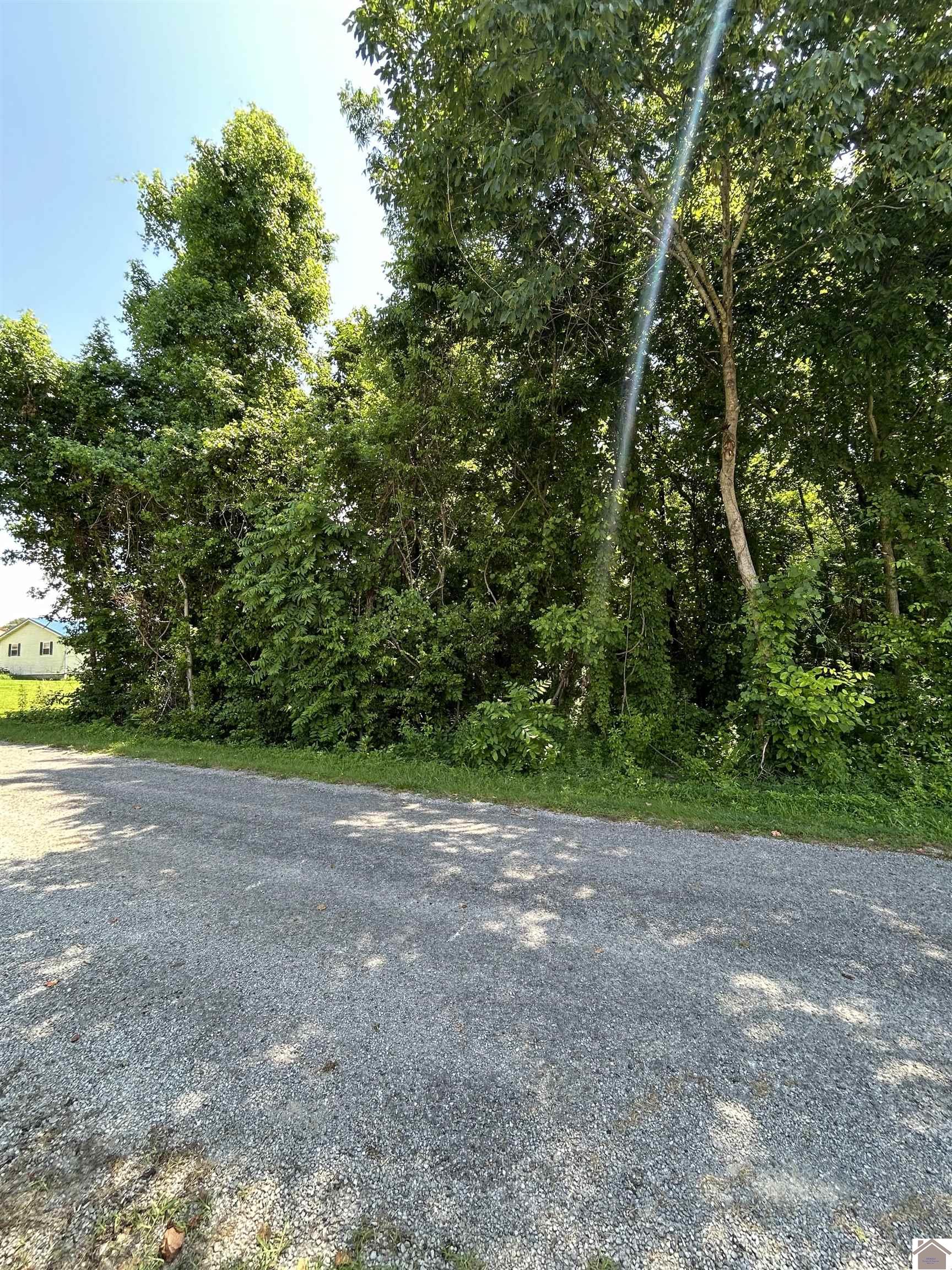 000 Pecan, Cadiz, KY 42211 Listing Photo  3