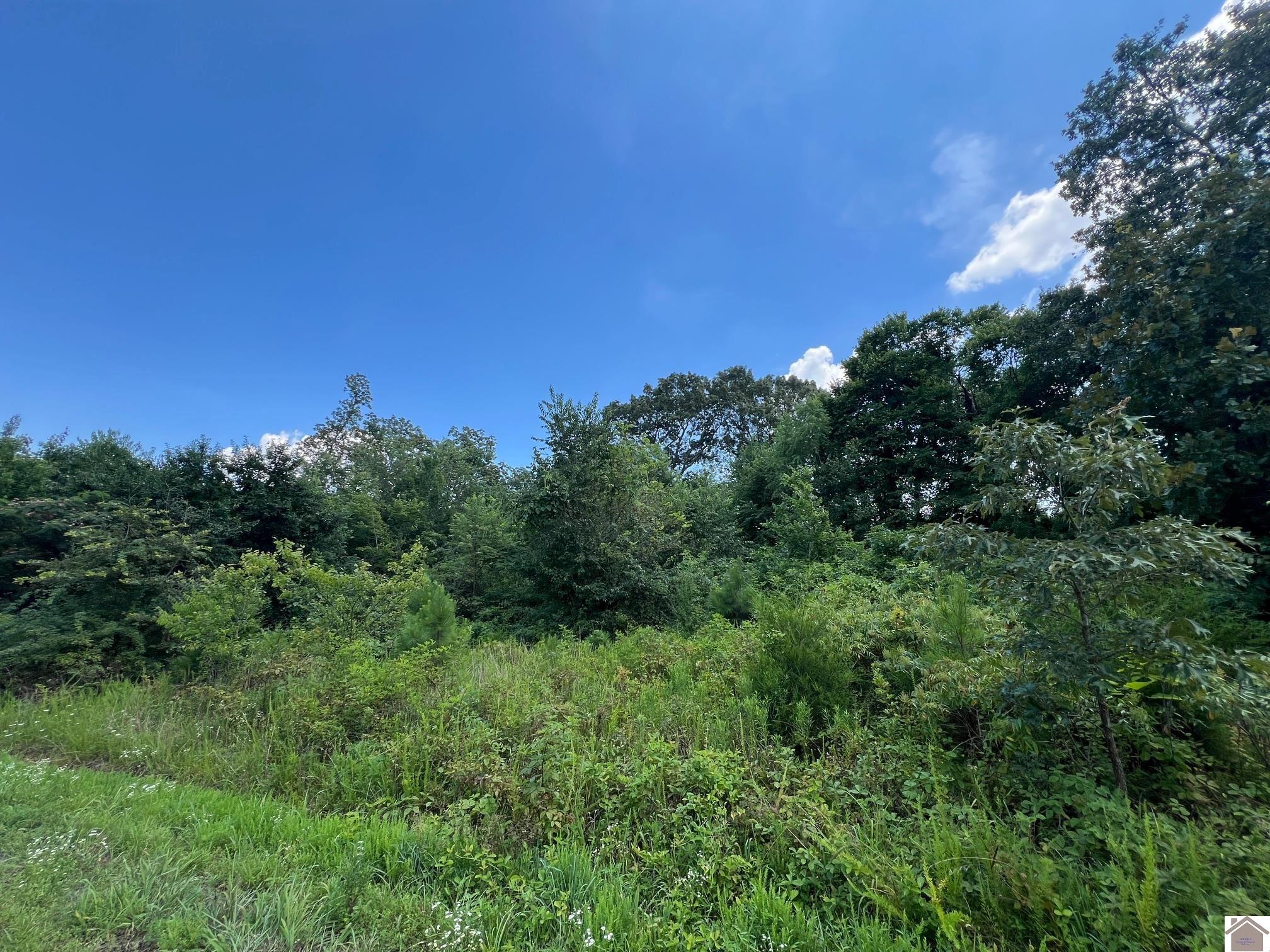 Featured Listings - Kopperud Realty