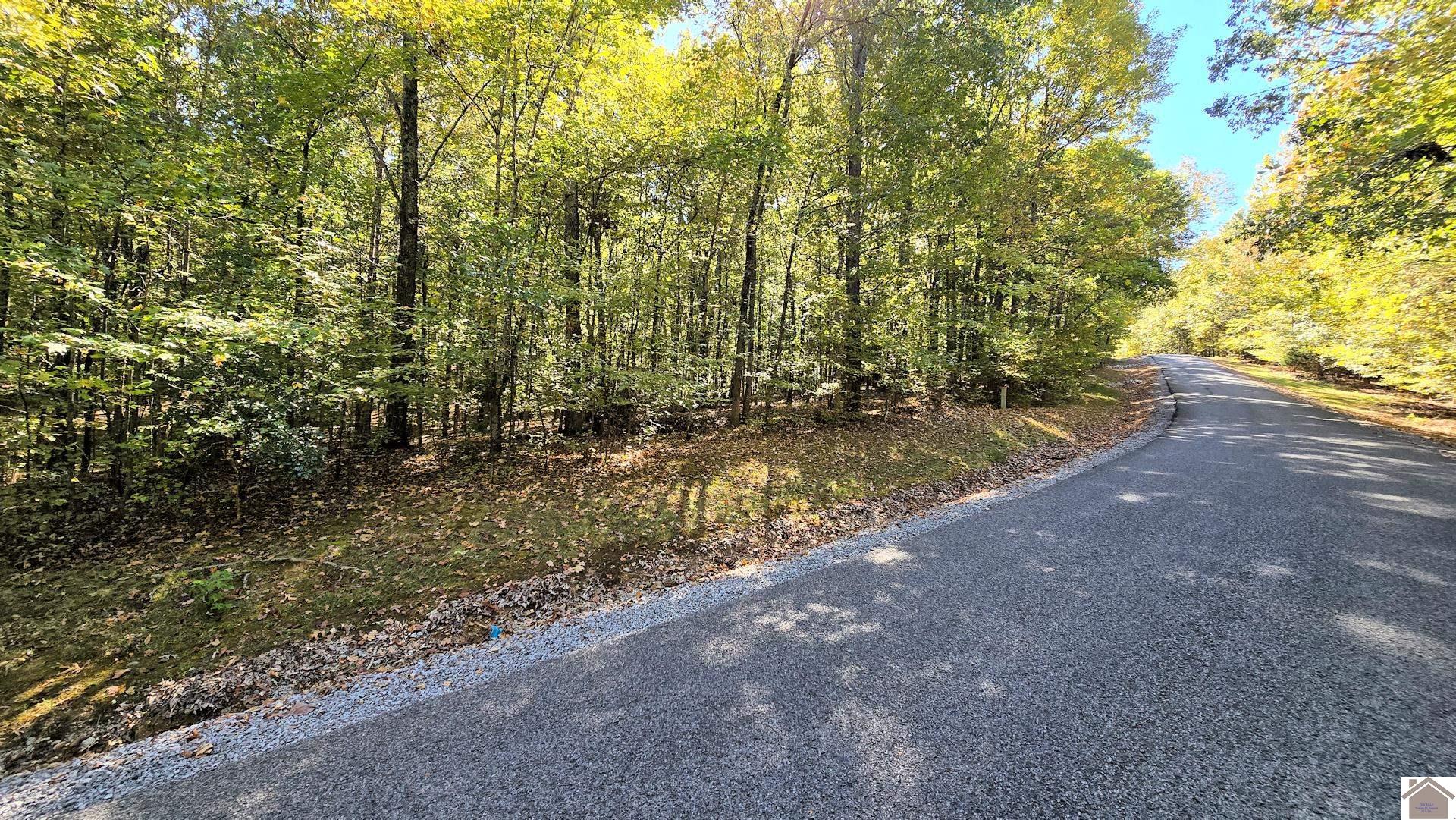 Lot 5 Malcolm's Point Road, Cadiz, KY 42211 Listing Photo  5