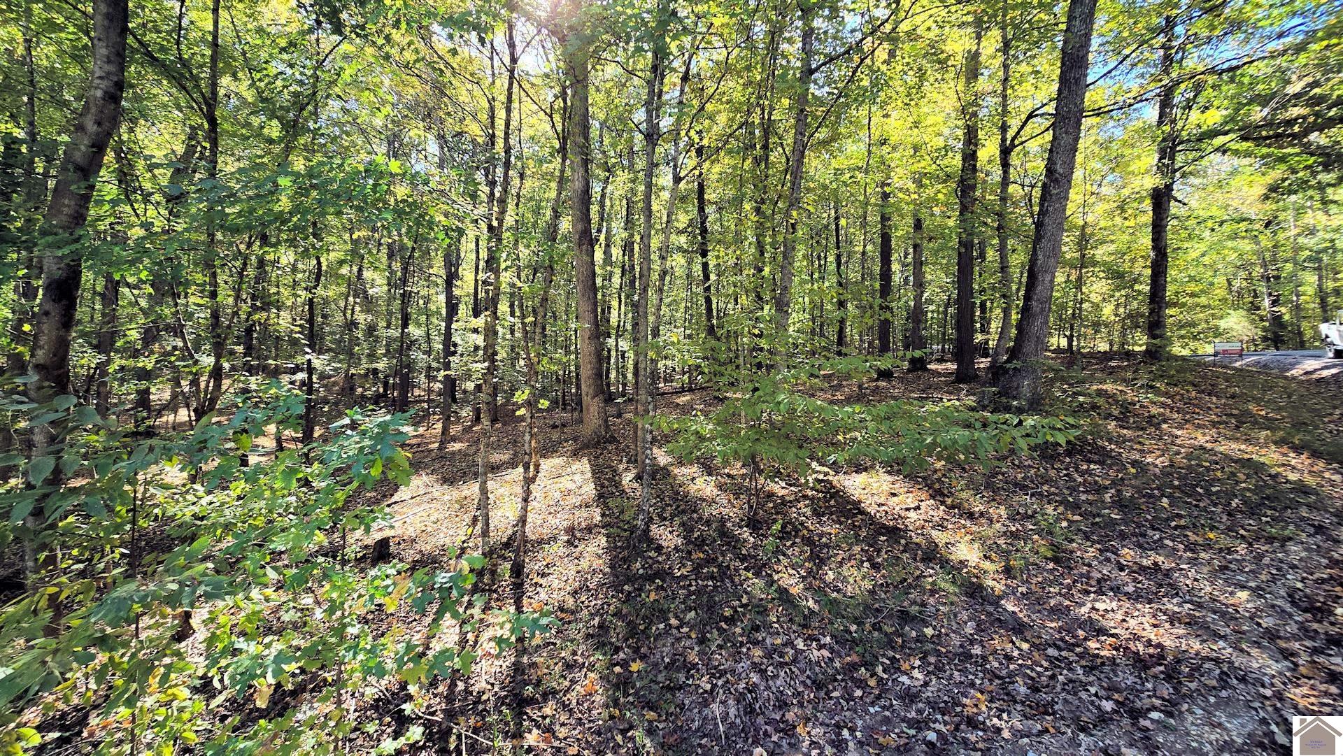 Lot 5 Malcolm's Point Road, Cadiz, KY 42211 Listing Photo  6