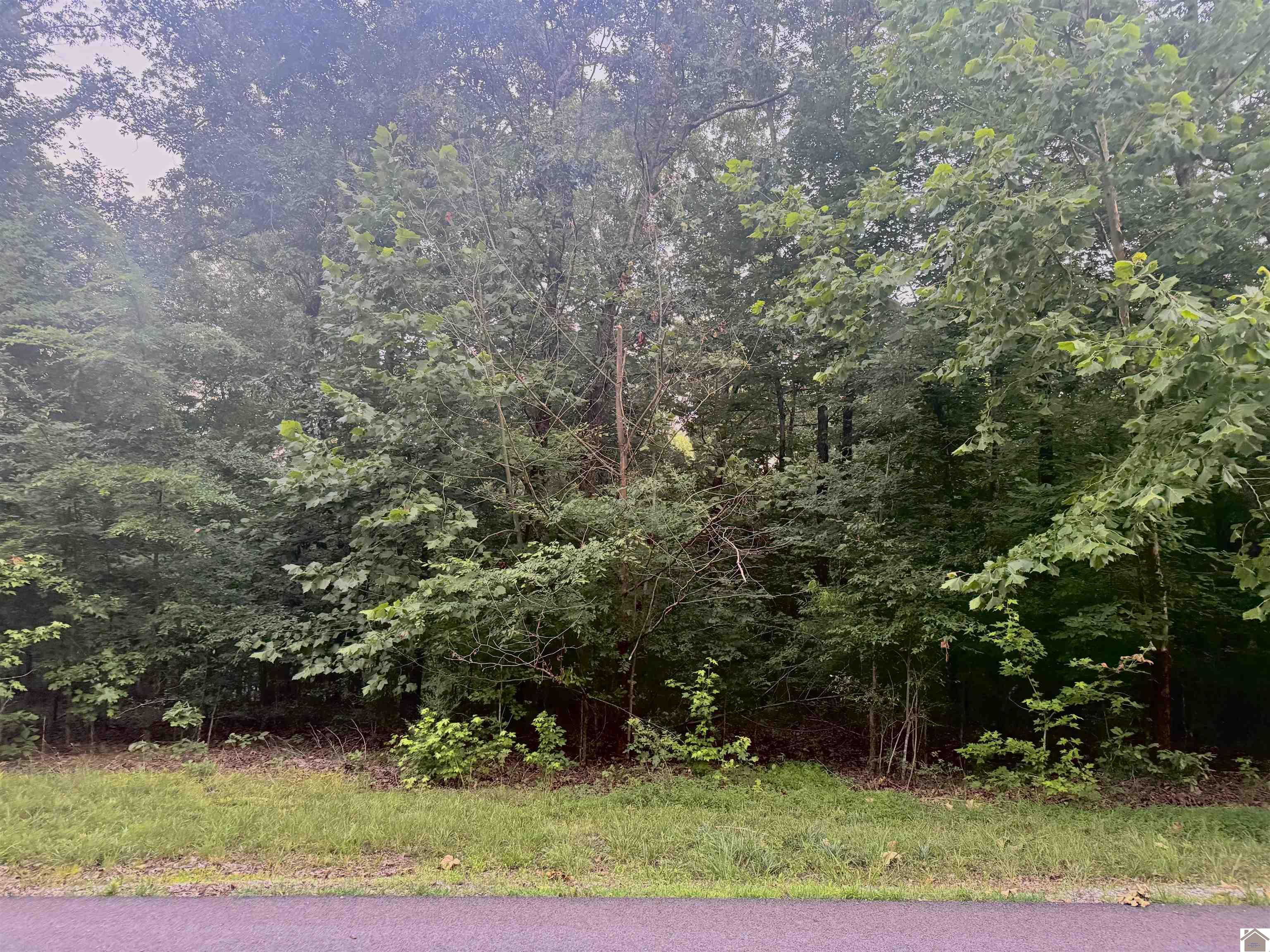 Featured Listings - Kopperud Realty