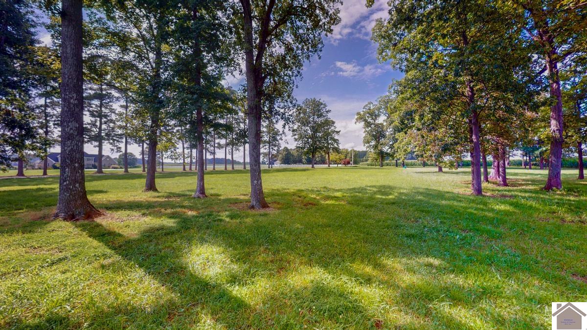 4214 Byars Road, Hazel, KY 42049 Listing Photo  2