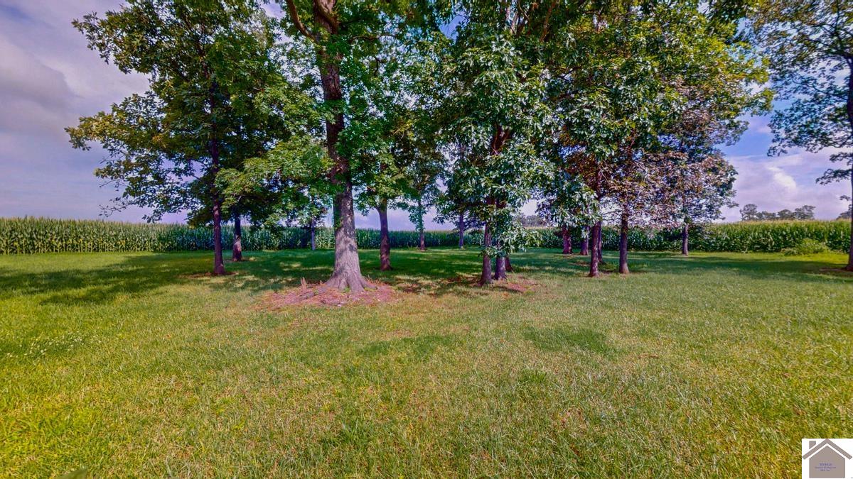 4214 Byars Road, Hazel, KY 42049 Listing Photo  11