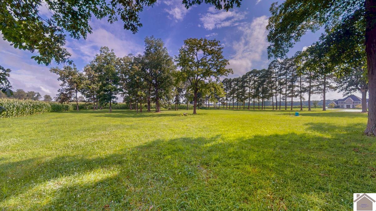 4214 Byars Road, Hazel, KY 42049 Listing Photo  12