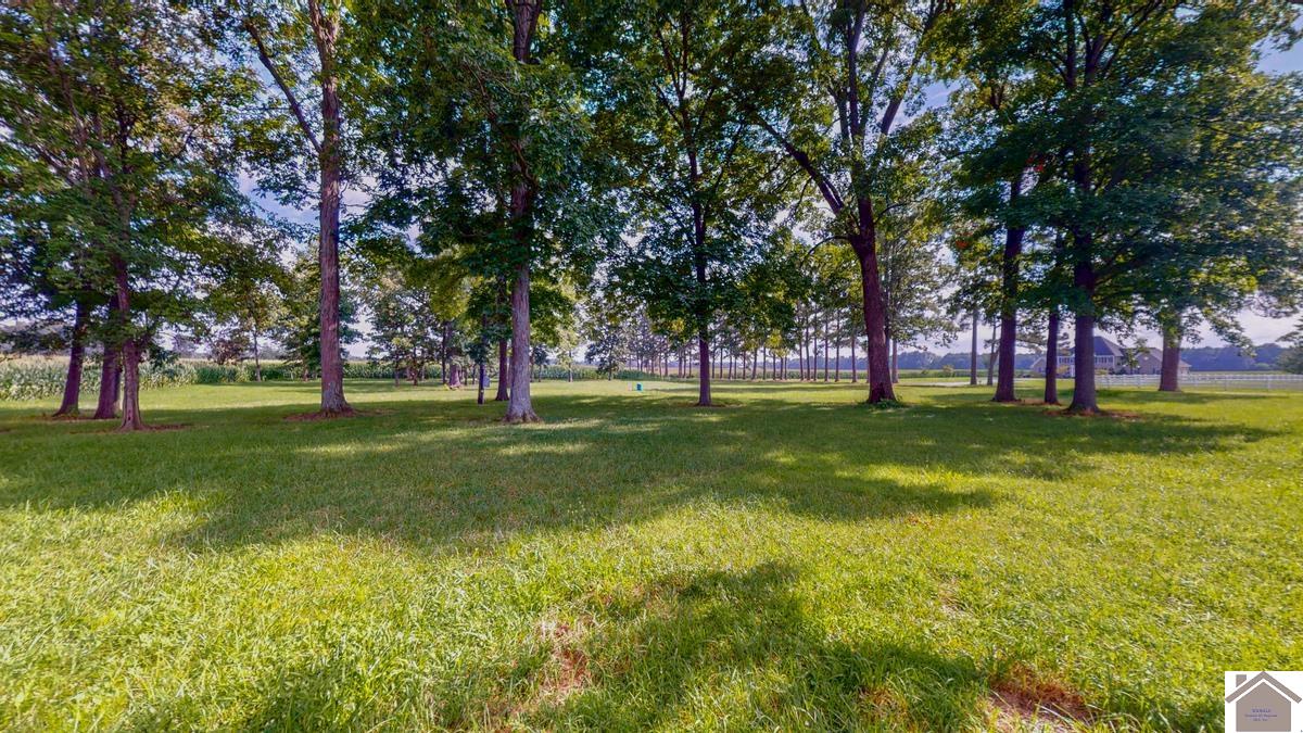 4214 Byars Road, Hazel, KY 42049 Listing Photo  13