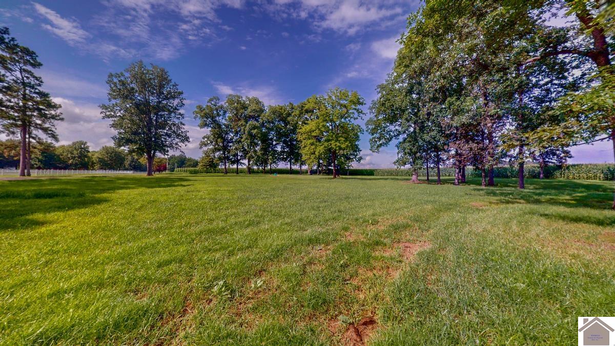 4214 Byars Road, Hazel, KY 42049 Listing Photo  8