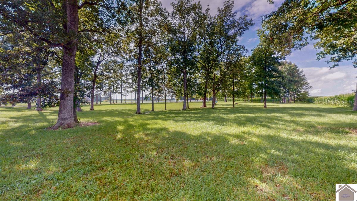 4214 Byars Road, Hazel, KY 42049 Listing Photo  9