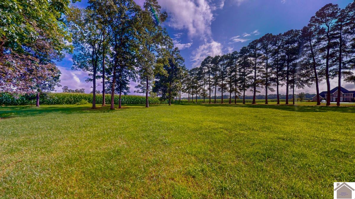4214 Byars Road, Hazel, KY 42049 Listing Photo  10
