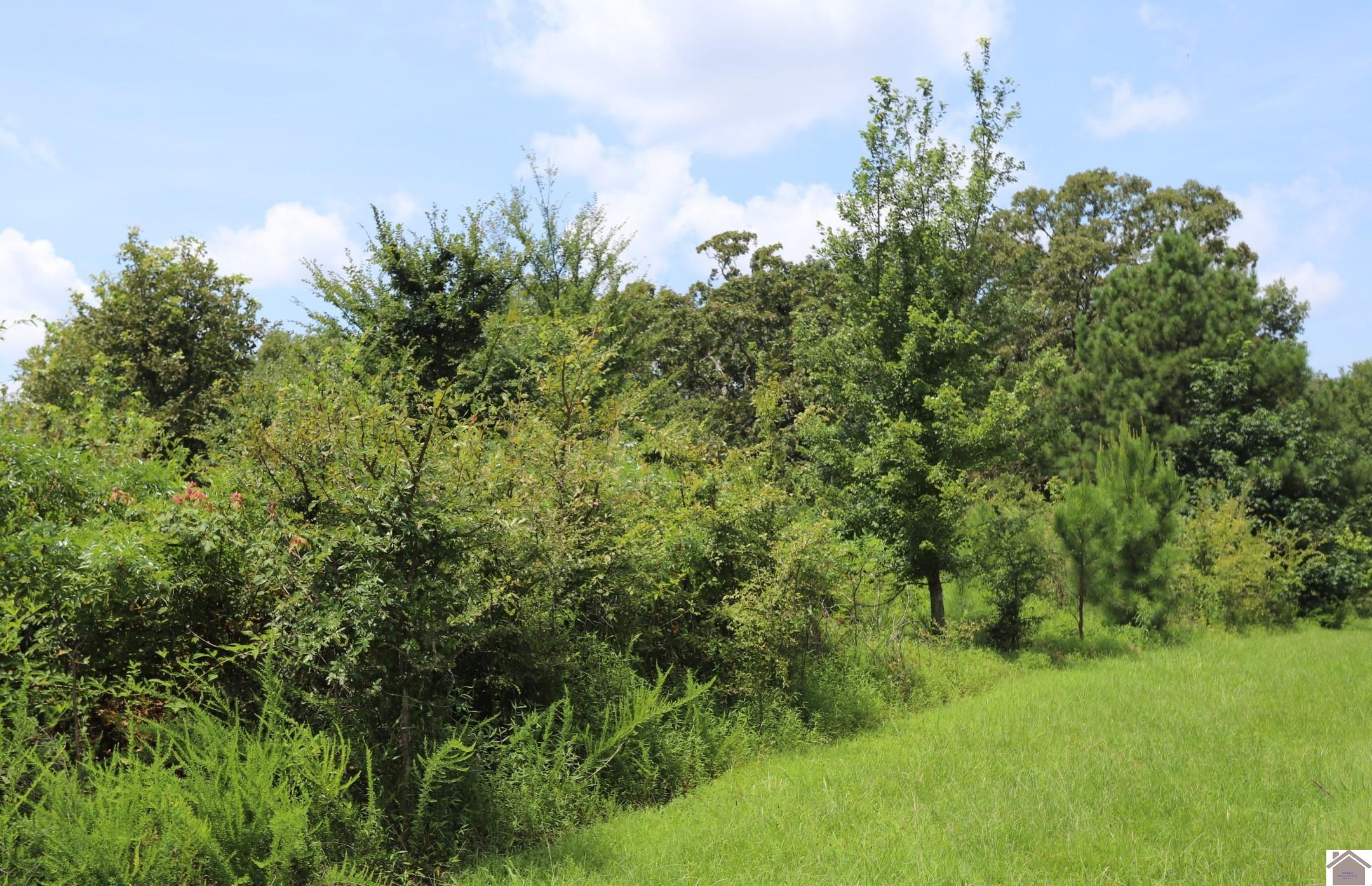 Lot 58 Kirk Ridge Road, Murray, KY 42071 Listing Photo  1
