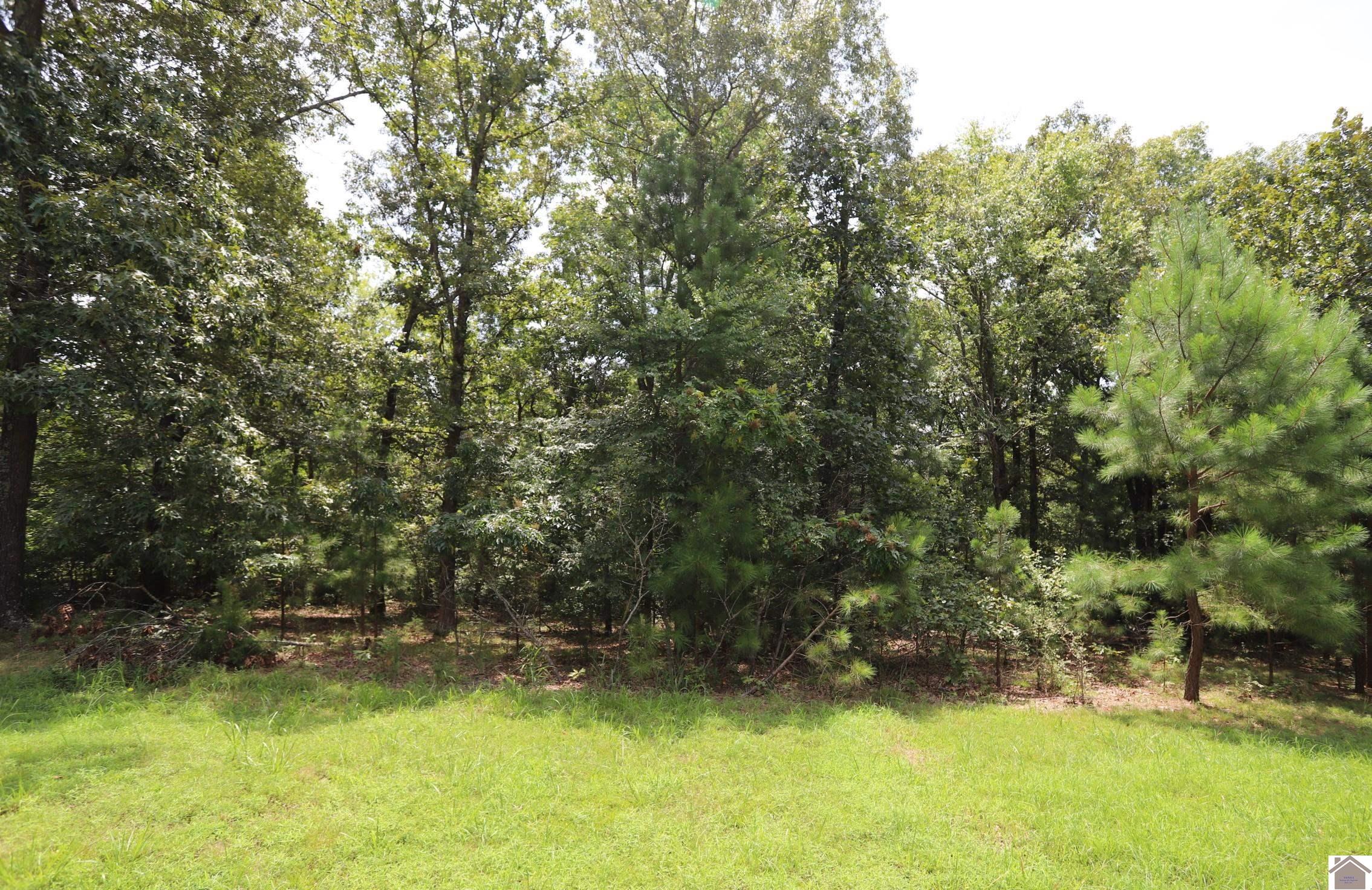 Lot 46 Waterfowl Ln, Murray, KY 42071 Listing Photo  1