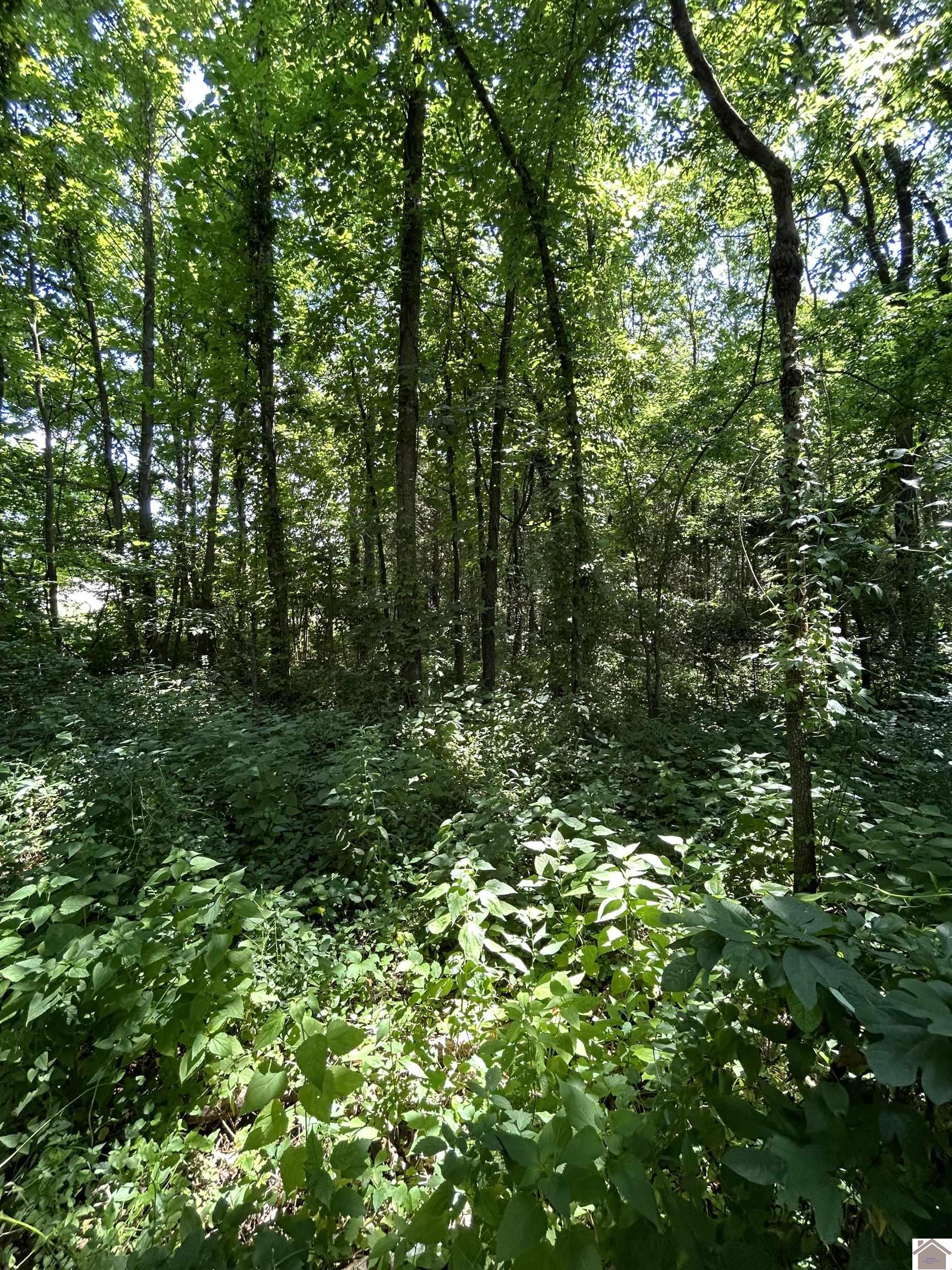 000 Maple Lane, Cadiz, KY 42211 Listing Photo  1