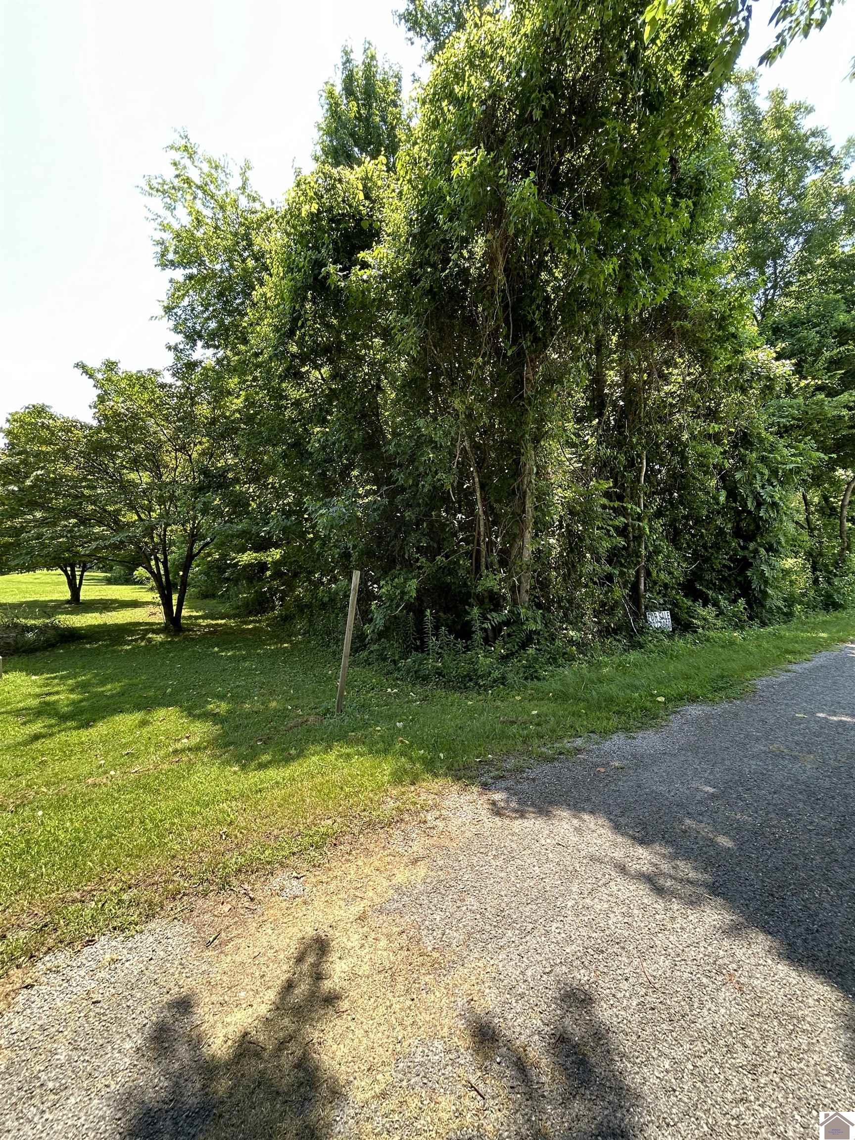 000 Maple Lane, Cadiz, KY 42211 Listing Photo  4