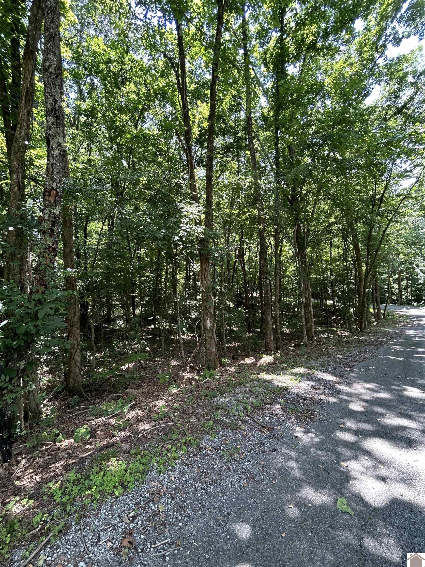 000 Cedar Lane, Cadiz, KY 42211 Listing Photo  1
