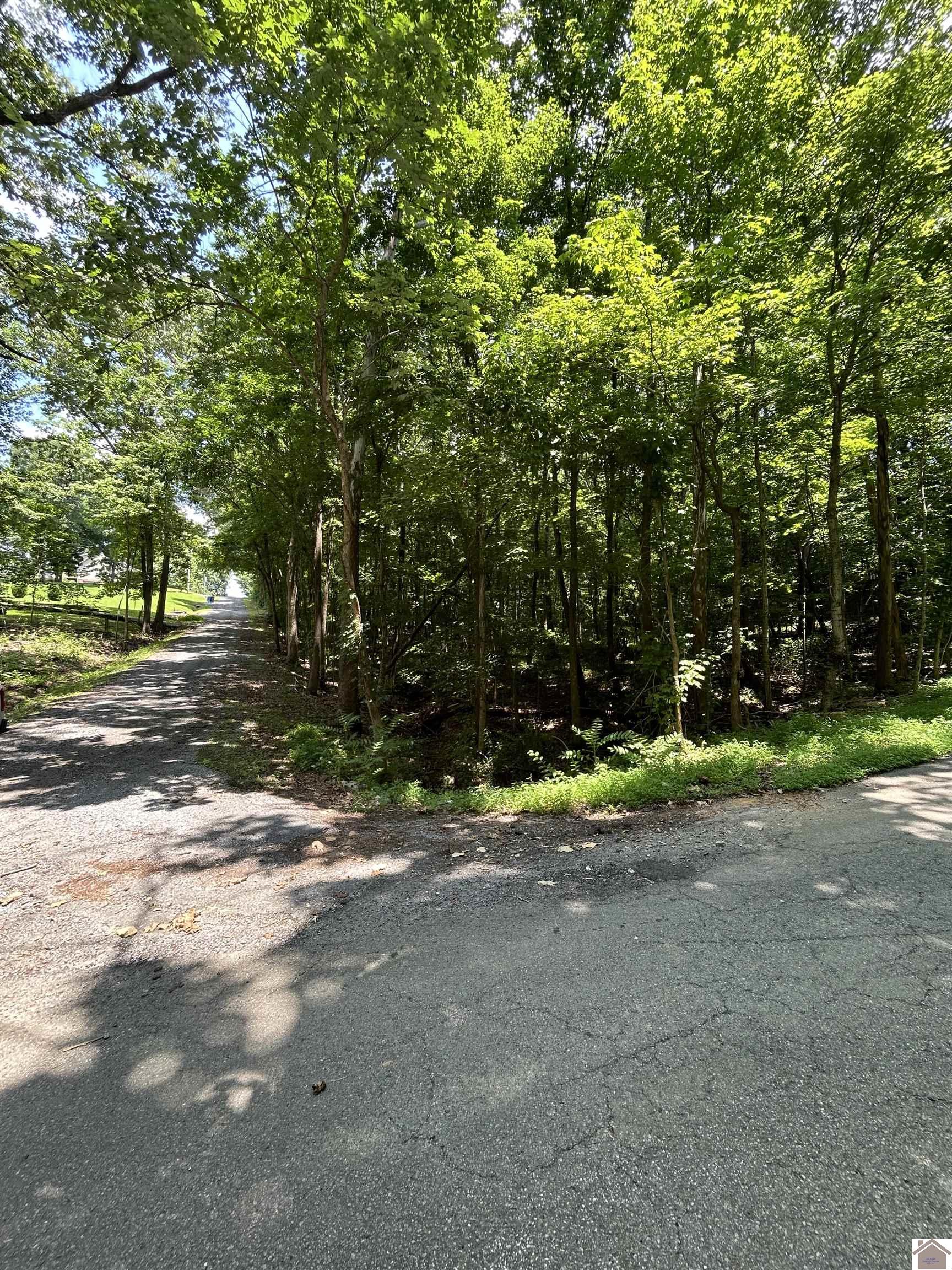 000 Cedar Lane, Cadiz, KY 42211 Listing Photo  2