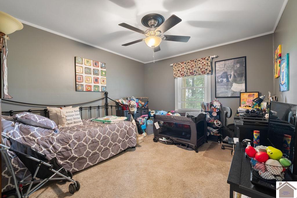 6209 State Route 564, Mayfield, KY 42066 Listing Photo  15