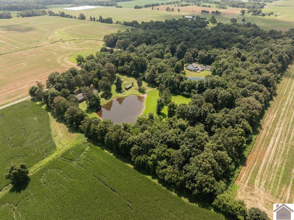 6209 State Route 564, Mayfield, KY 42066 Listing Photo  29