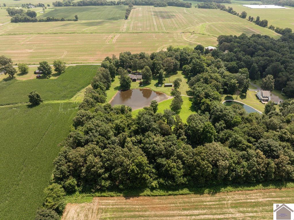 6209 State Route 564, Mayfield, KY 42066 Listing Photo  30