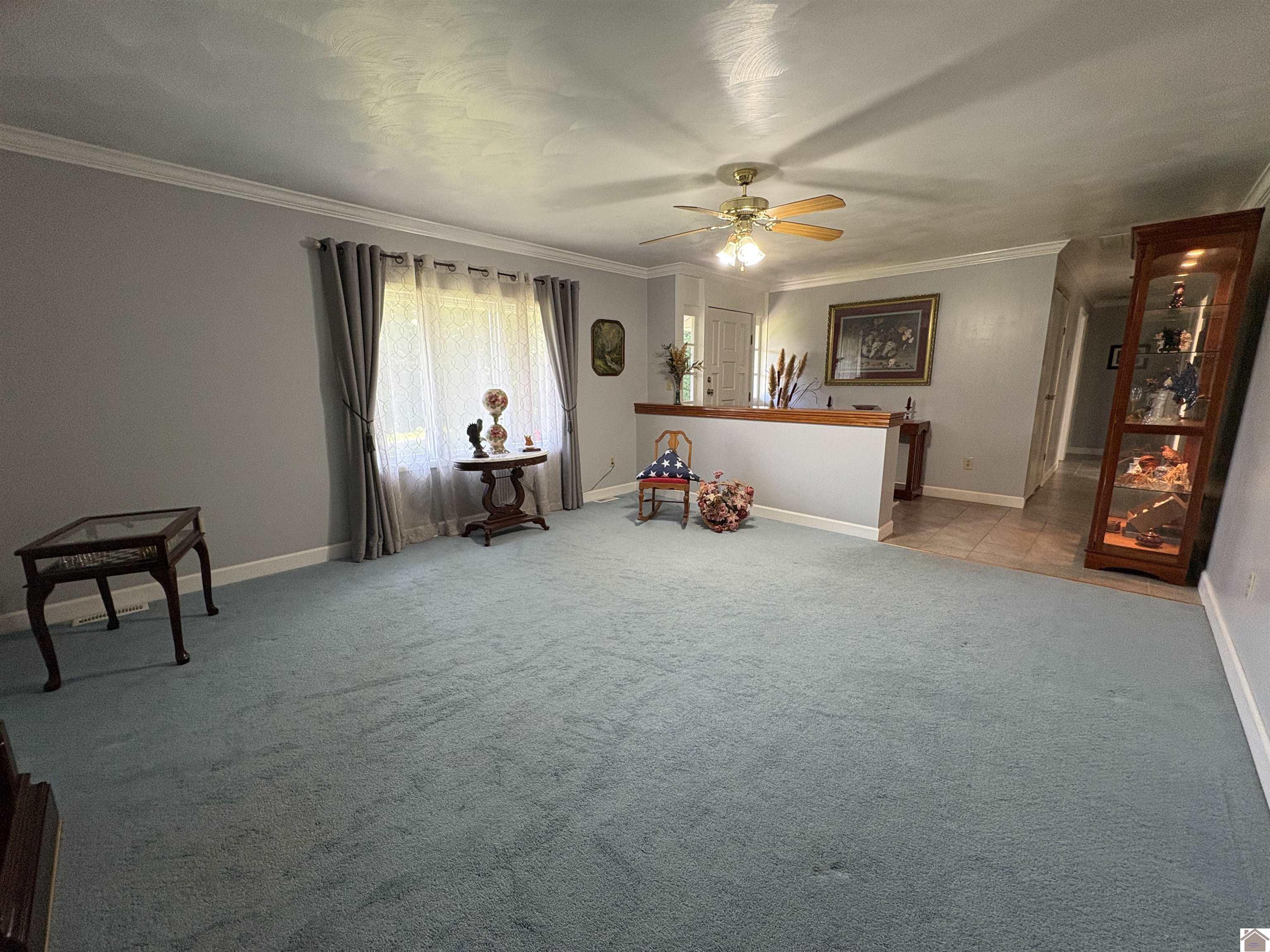1070 Clarkline, Paducah, KY 42003 Listing Photo  4