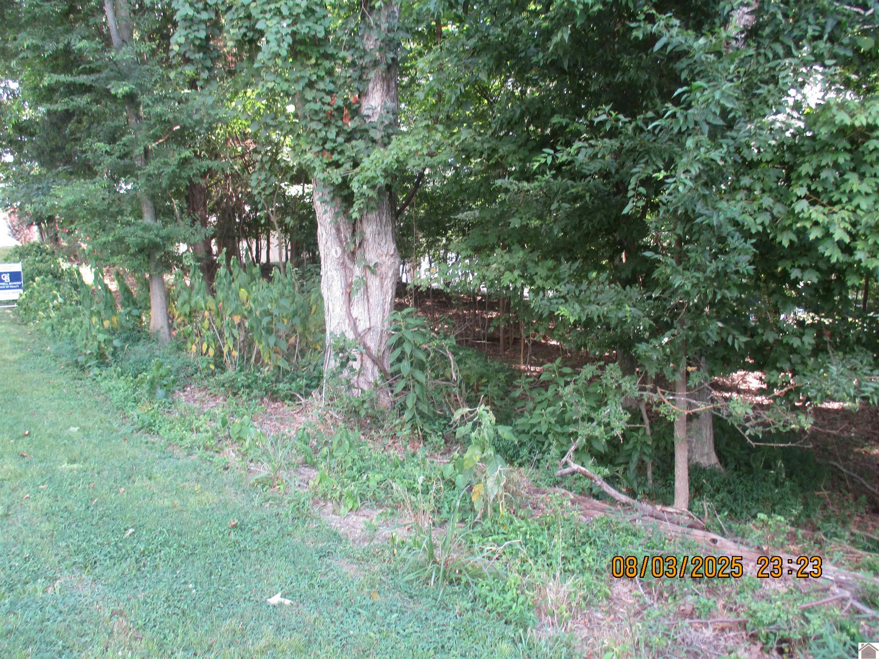 56 Heron Point, Cadiz, KY 42211 Listing Photo  2