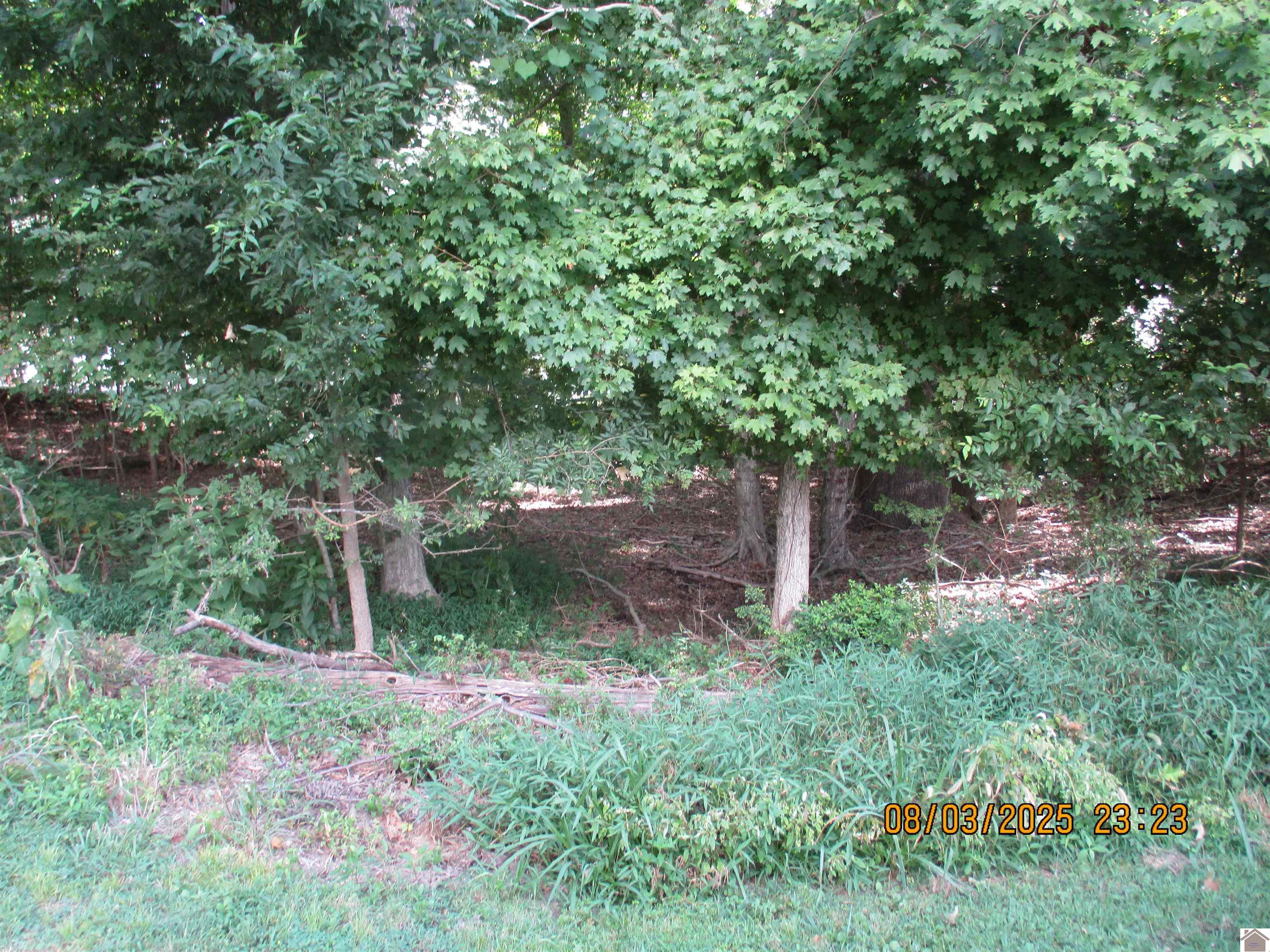 56 Heron Point, Cadiz, KY 42211 Listing Photo  3