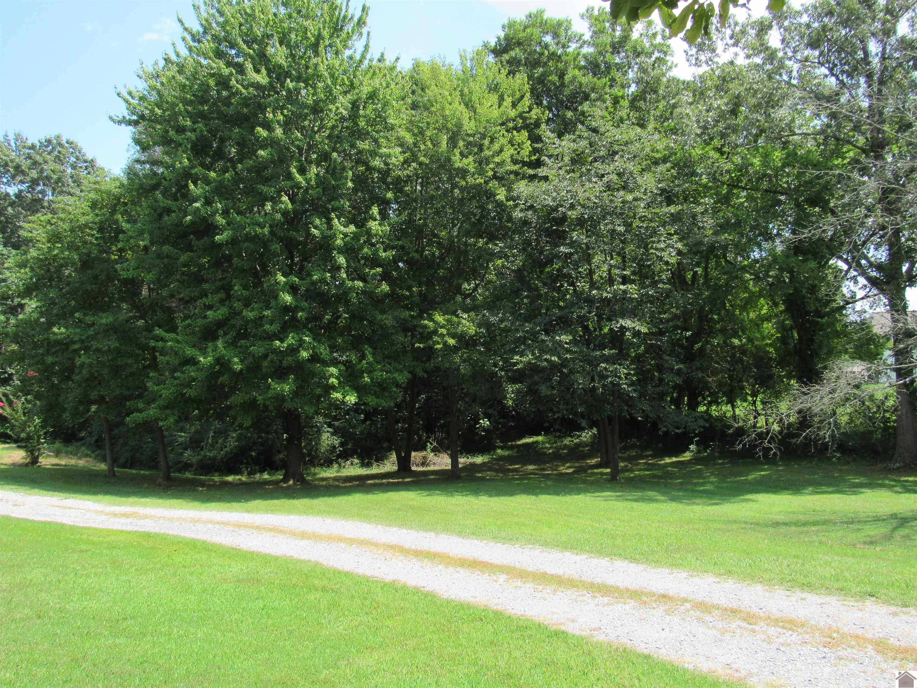 240 Lansing Ave, Paducah, KY 42003 Listing Photo  38