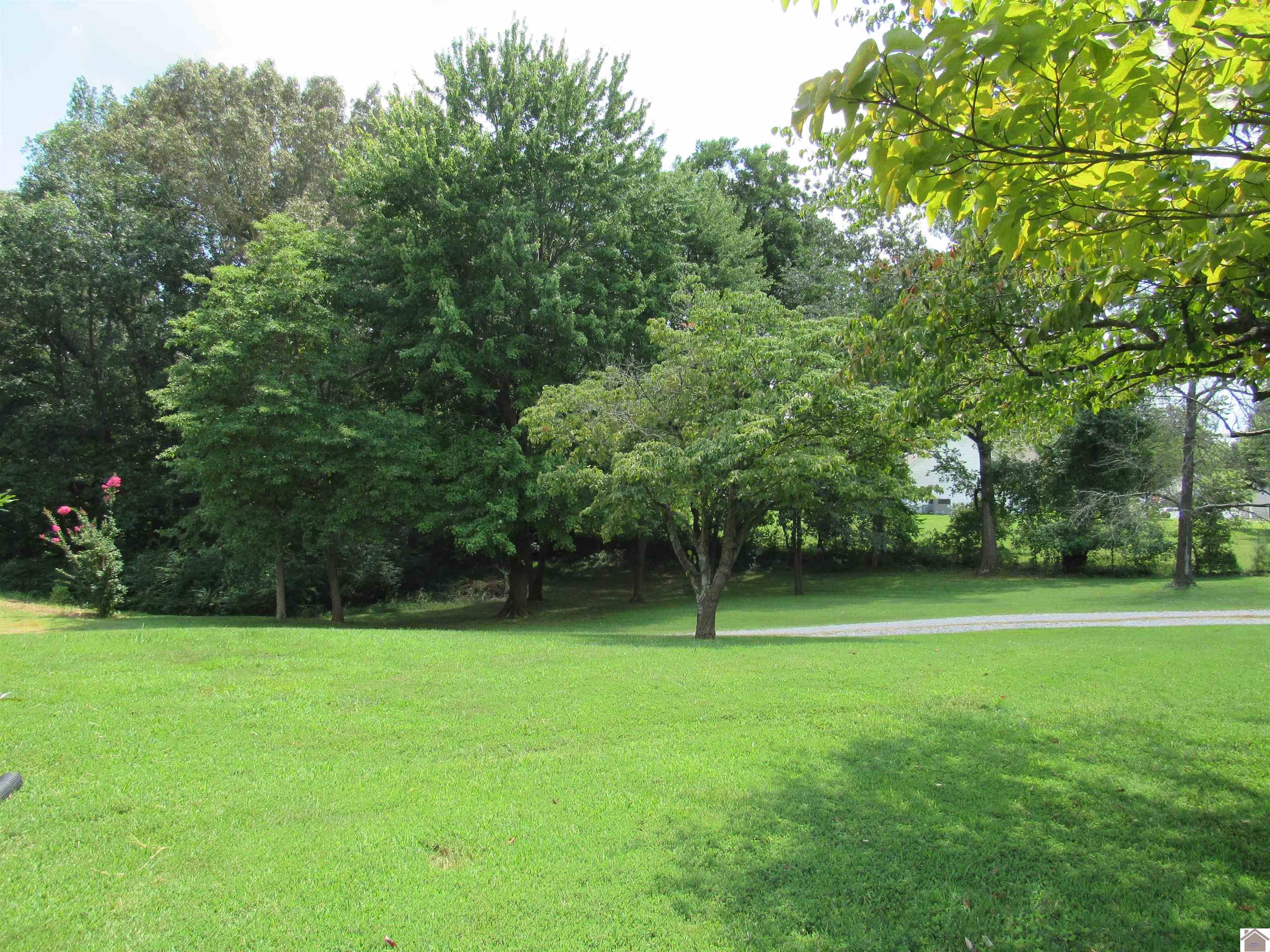 240 Lansing Ave, Paducah, KY 42003 Listing Photo  39