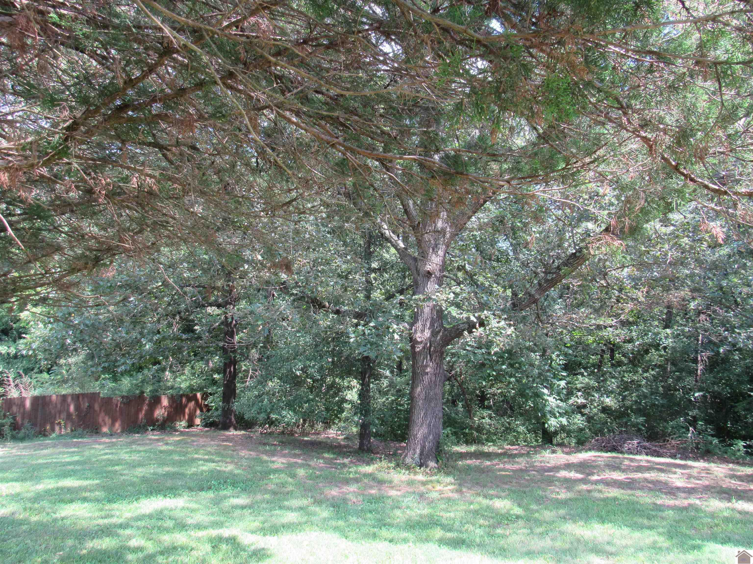 240 Lansing Ave, Paducah, KY 42003 Listing Photo  41