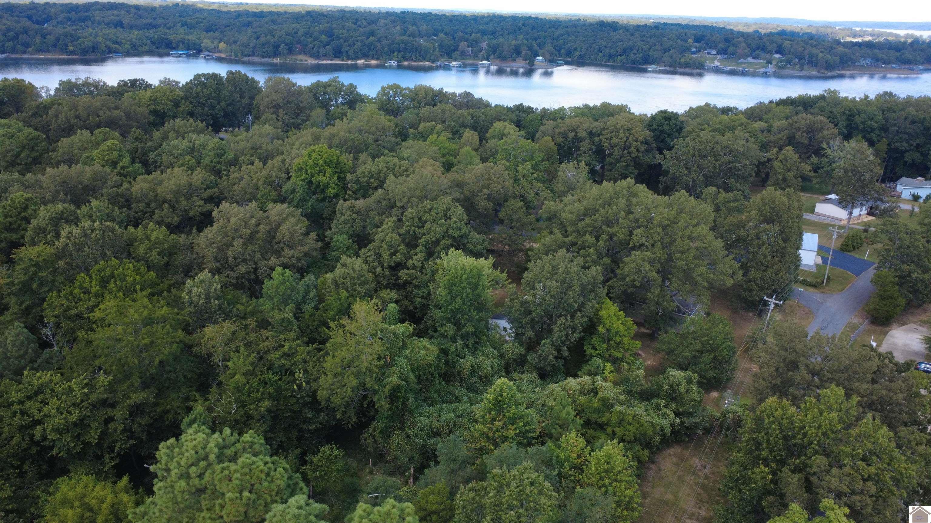147 Stewart Dr, Benton, KY 42025 Listing Photo  2