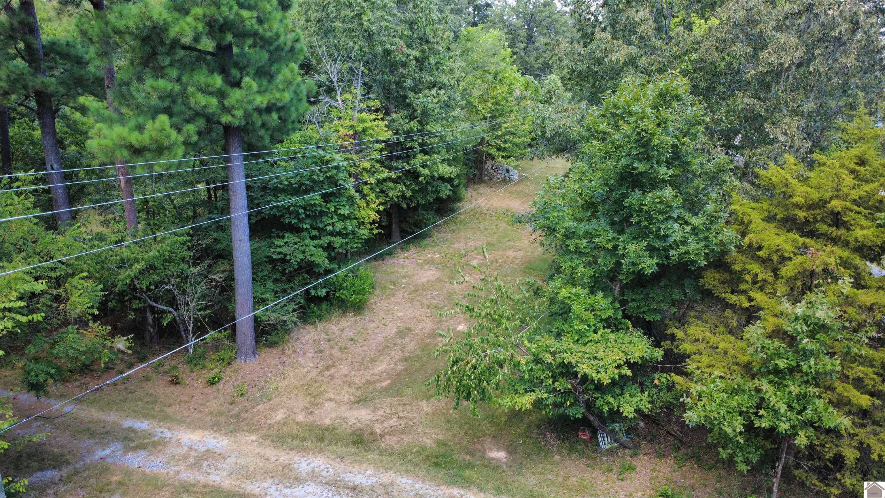 147 Stewart Dr, Benton, KY 42025 Listing Photo  11