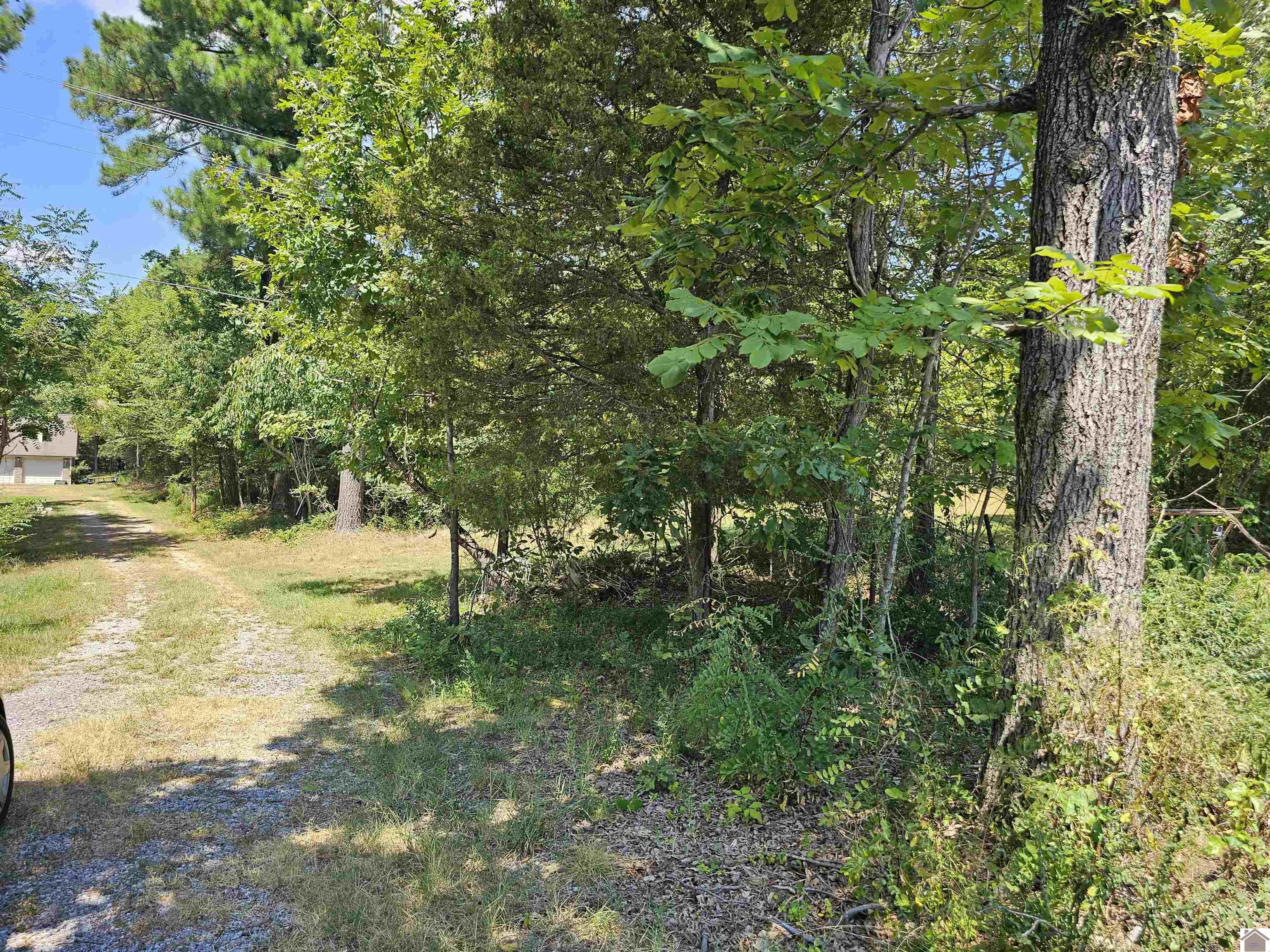 147 Stewart Dr, Benton, KY 42025 Listing Photo  14