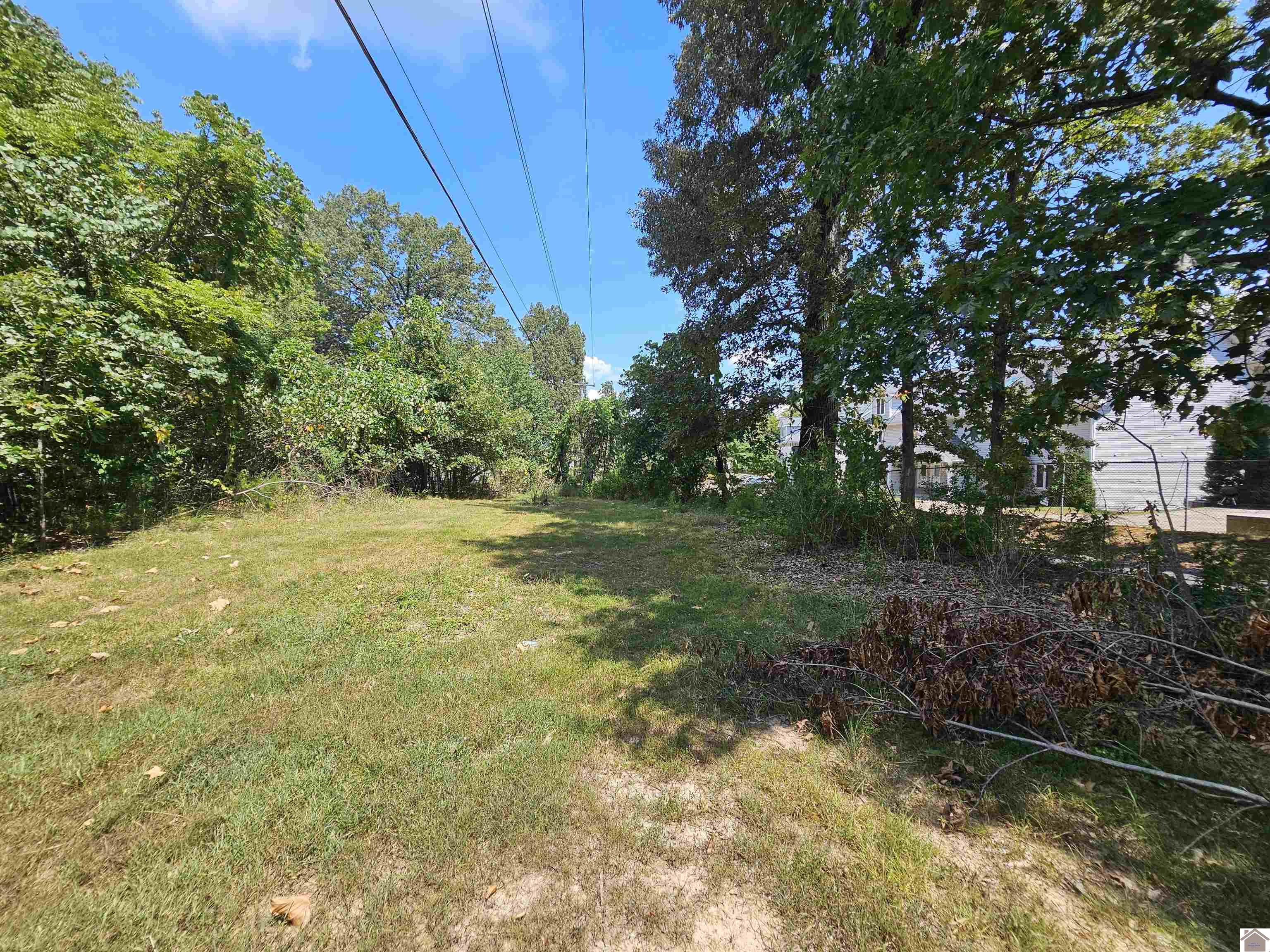 147 Stewart Dr, Benton, KY 42025 Listing Photo  15