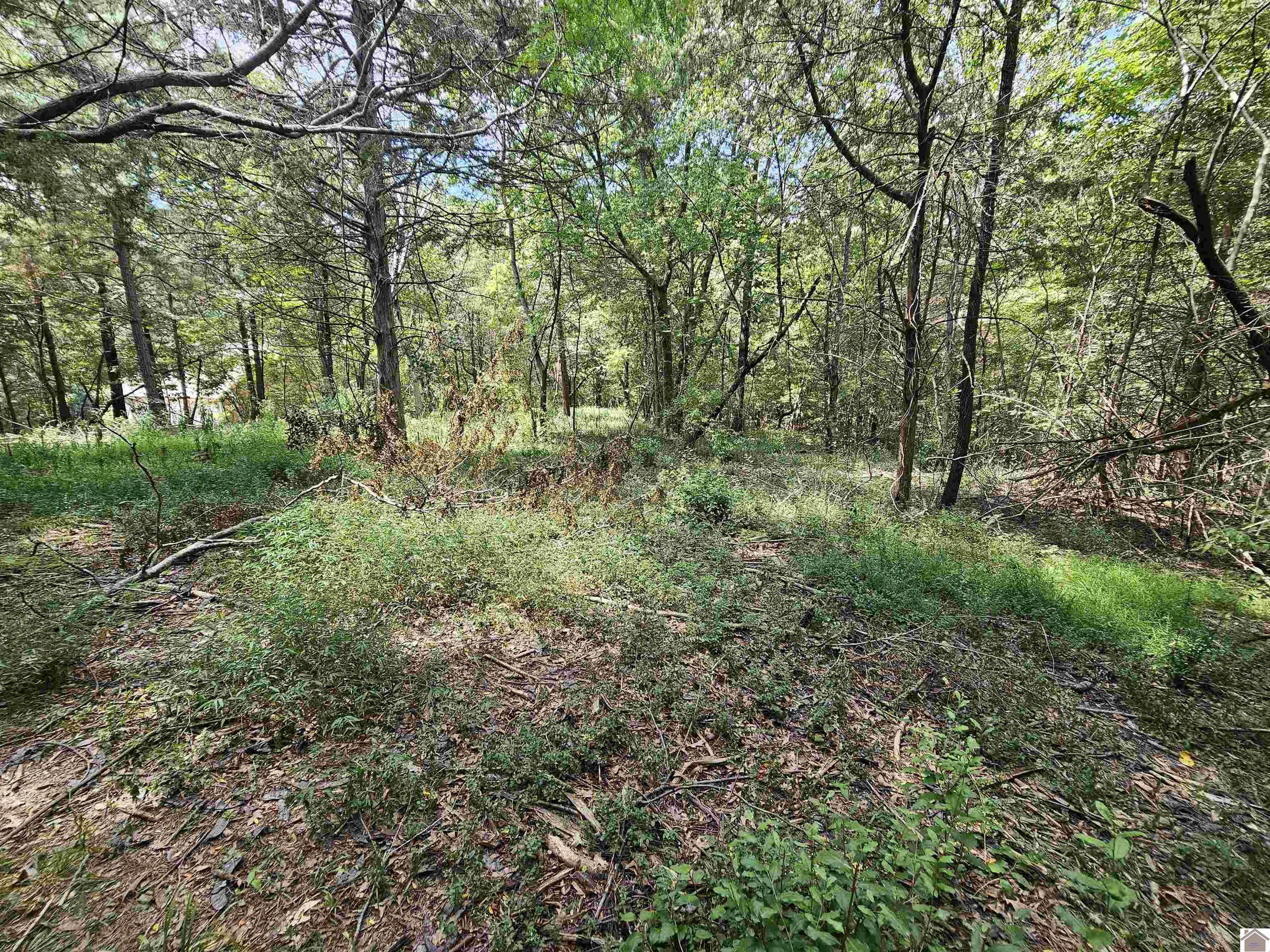 147 Stewart Dr, Benton, KY 42025 Listing Photo  17